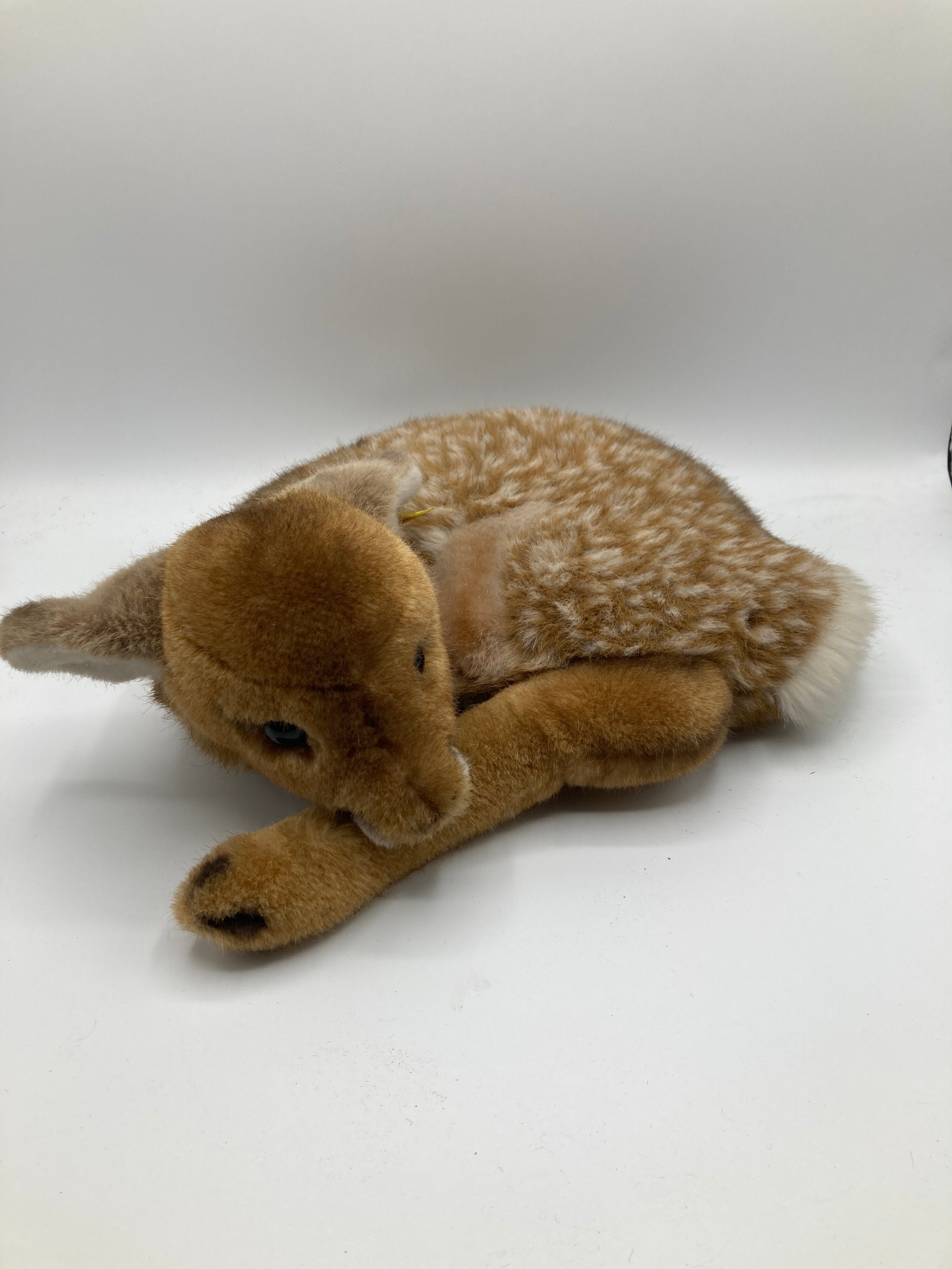 Steiff's Soft Plush Curled Up Lorli Fawn With IDs | My Site