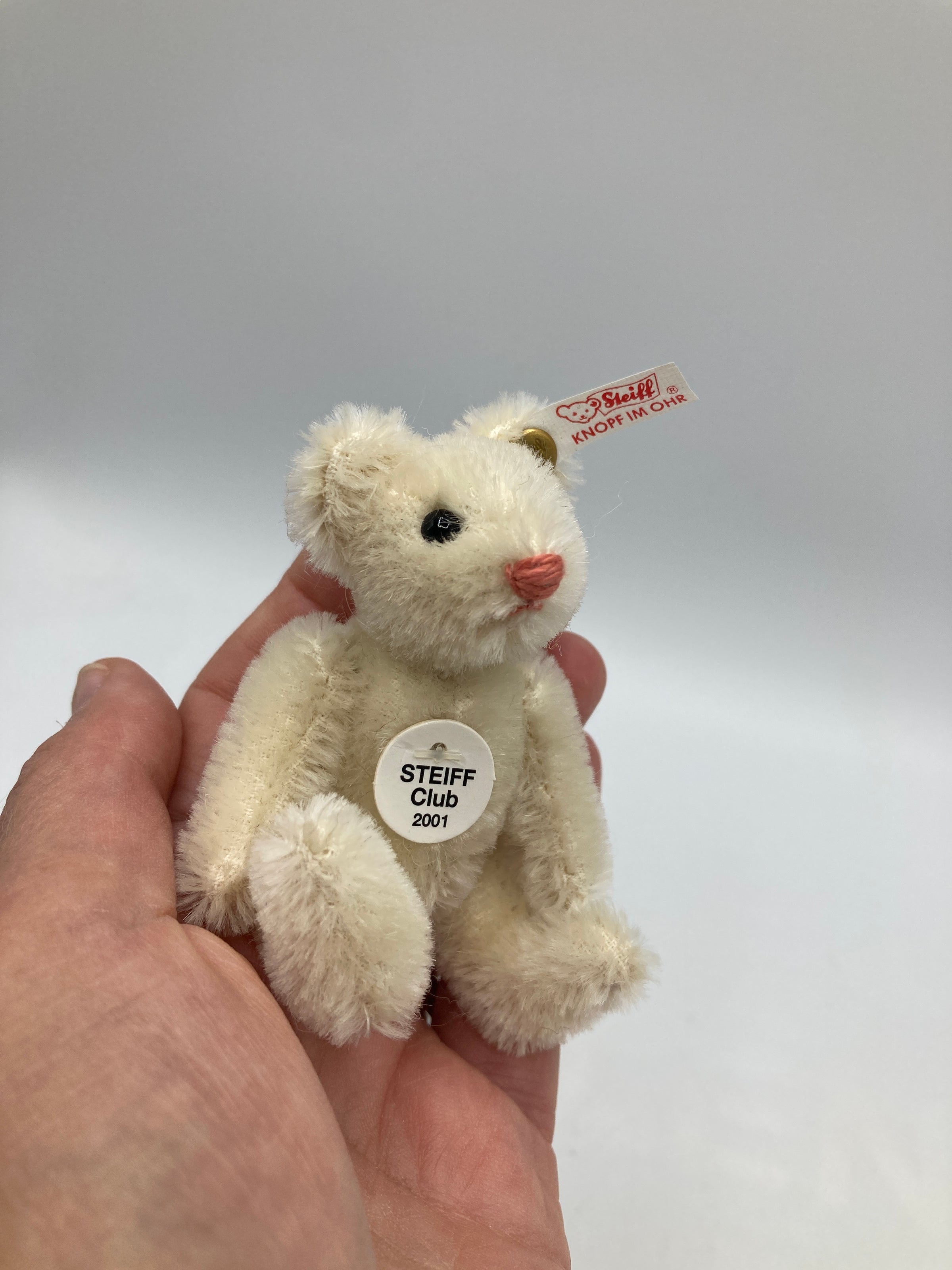 Steiff Fully Jointed Tiny 2001 Steiff Club Bear With All IDs | My Site