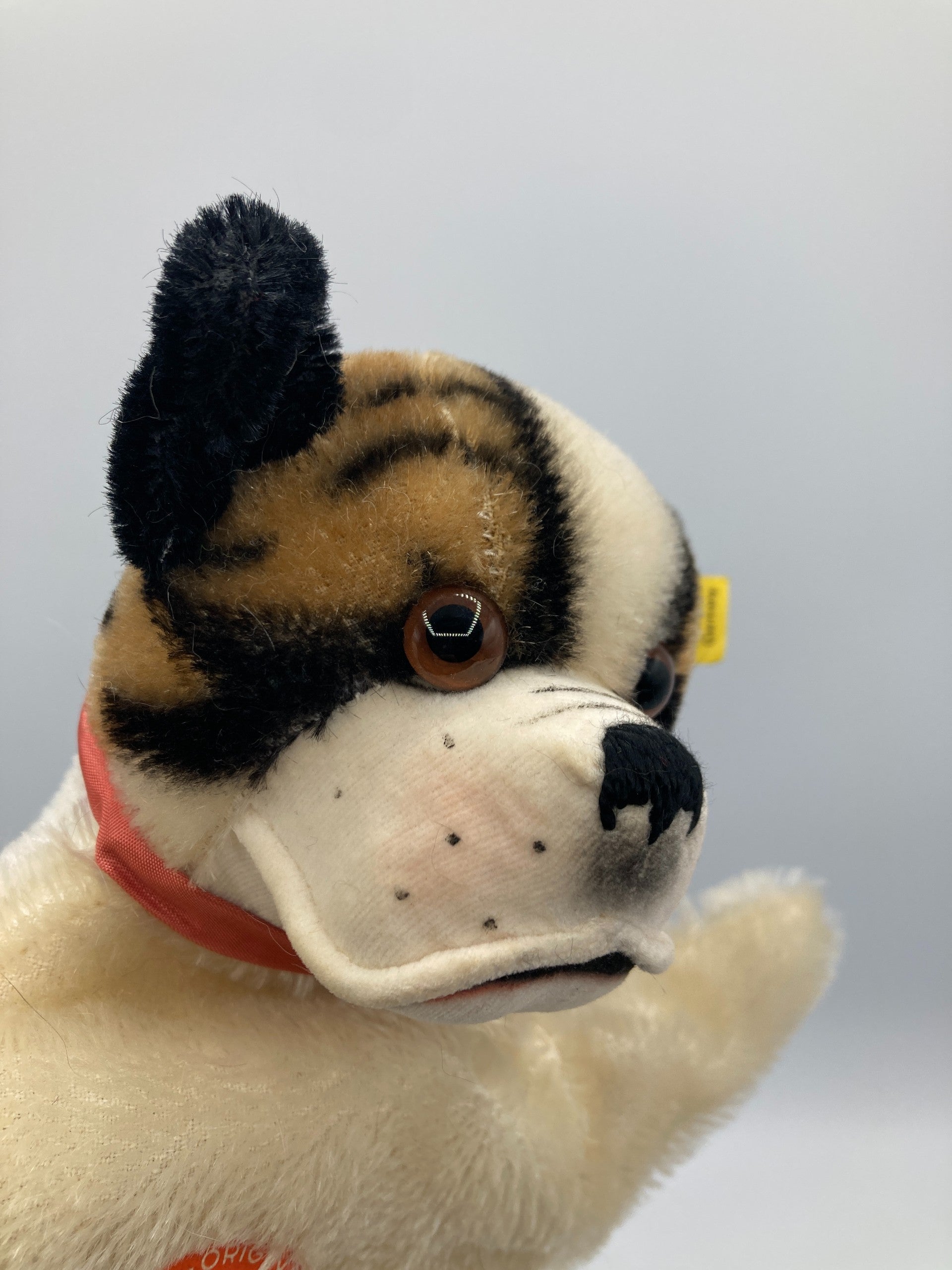 Steiff Bully Bulldog Hand Puppet With All IDs | My Site