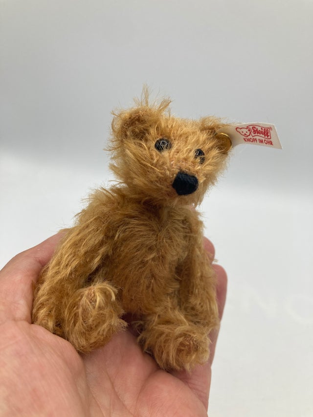 Bears | My Site