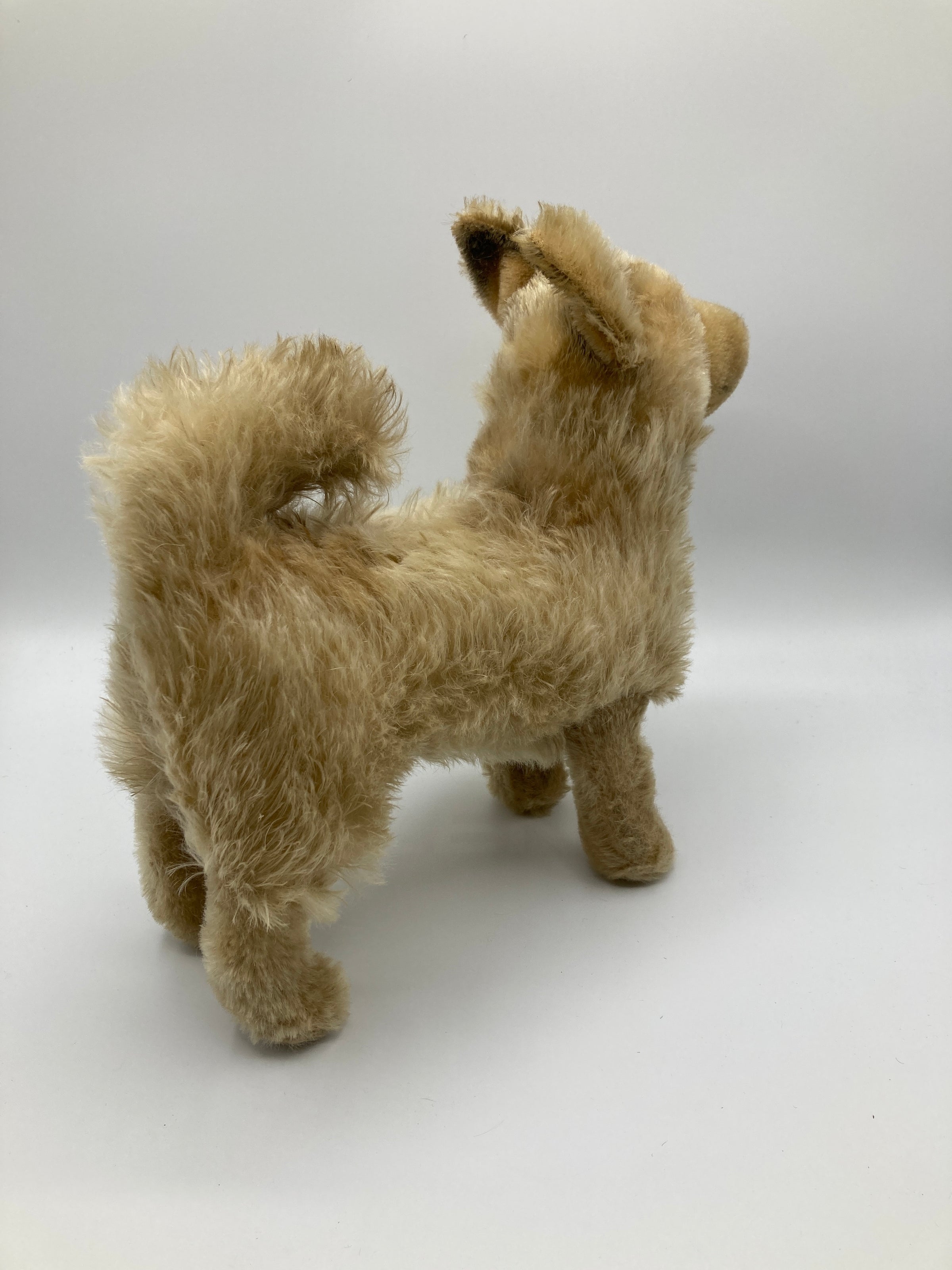Steiff Largest And Incredibly Rare Mohair Laika the Space Dog | My