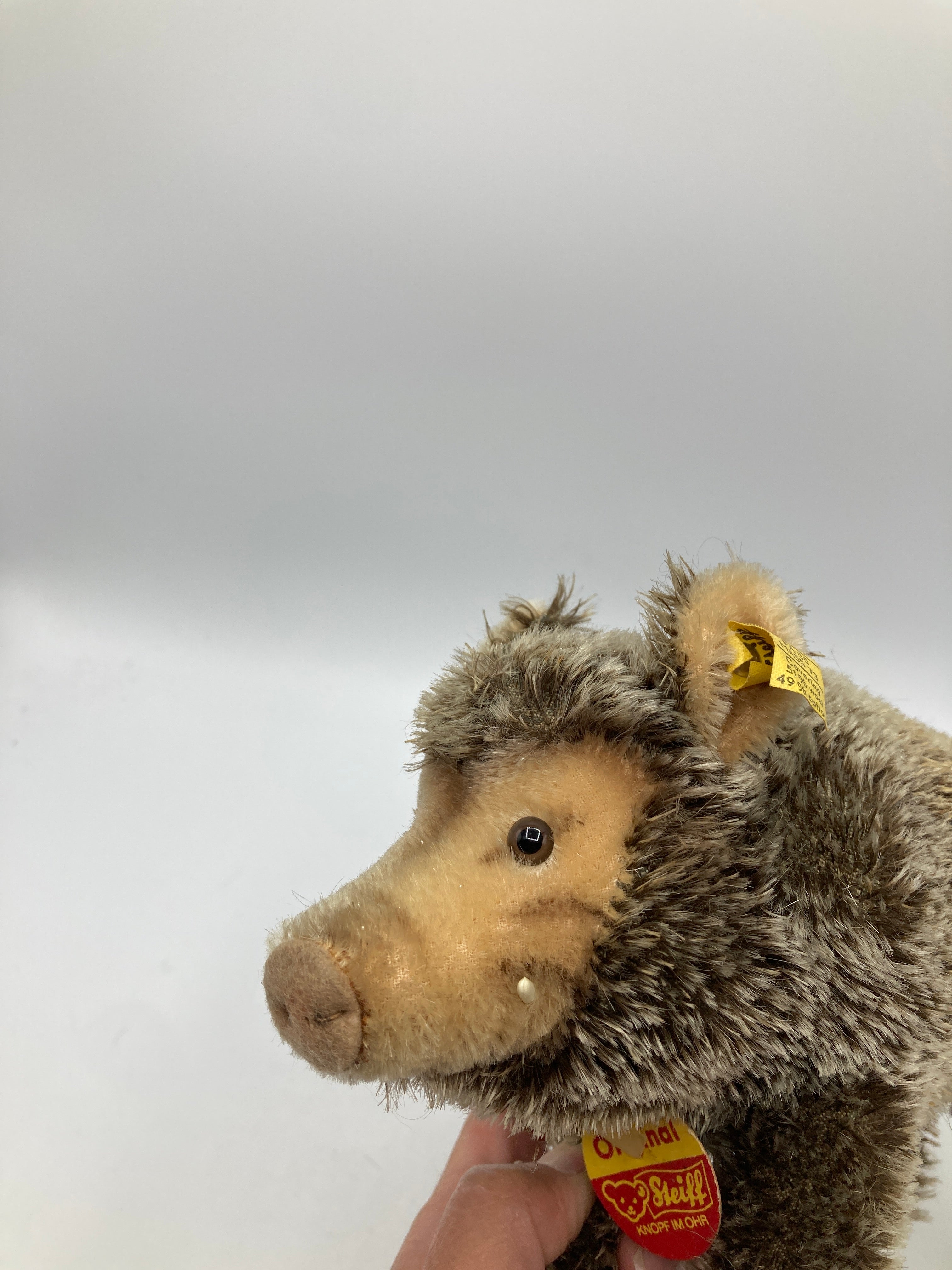Steiff Medium Mohair Adult Wild Boar With All IDs | My Site