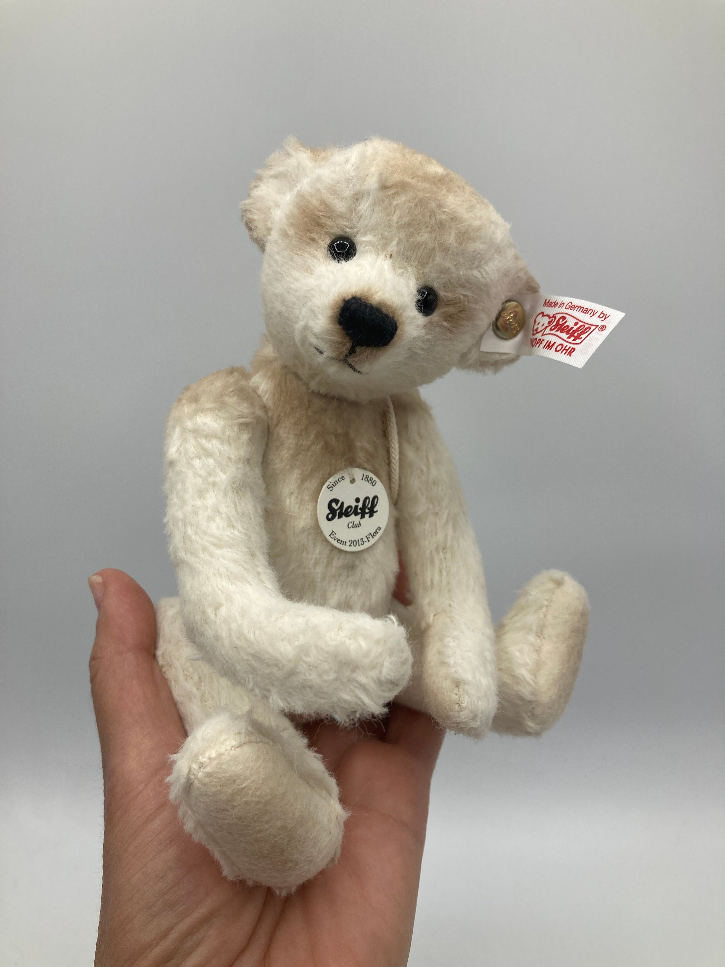 Steiff 2013 White and Tan Flora Special Event Teddy Bear With All