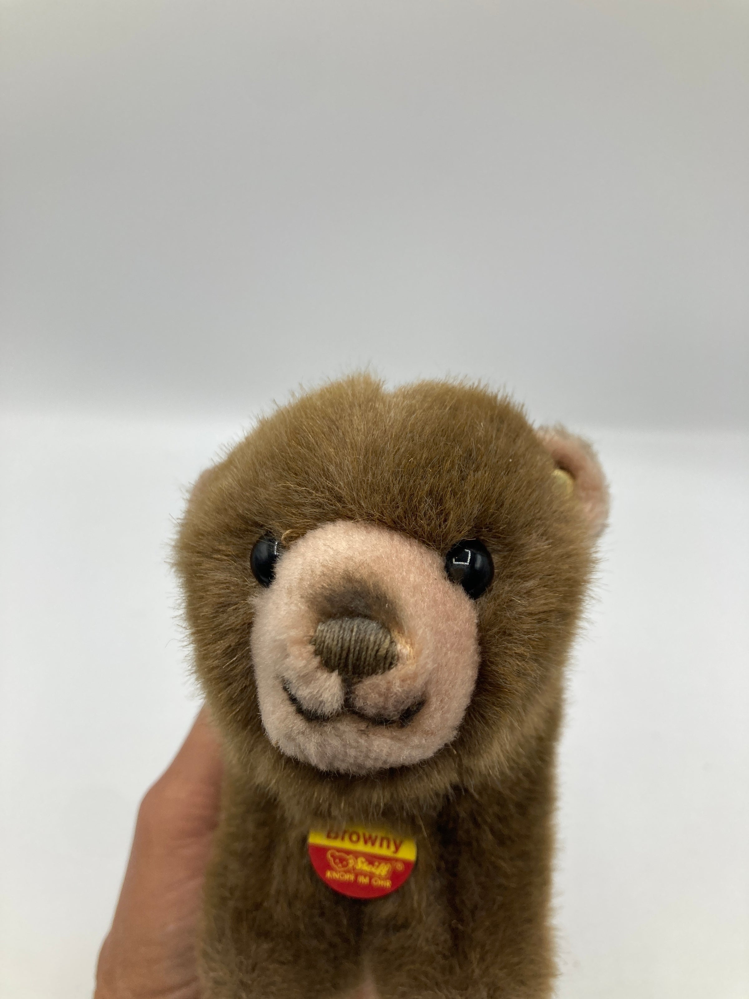 Steiff Standing Soft Plush Browny Bear With All IDs | My Site