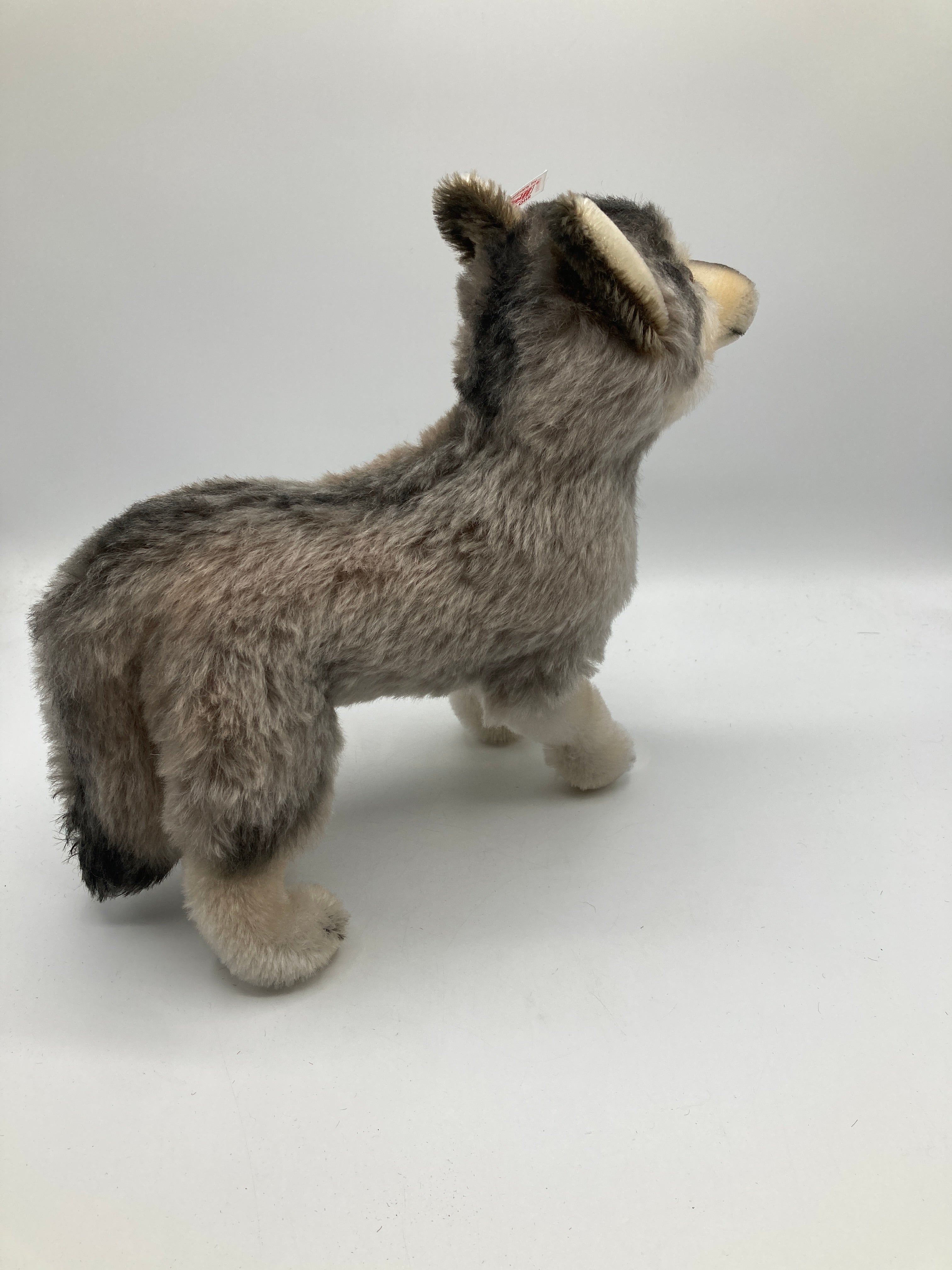 Steiff grissywolf #066801 シュタイフ　ウルフ Steiff Standing Grey Mohair Wolf With All IDs | My Site