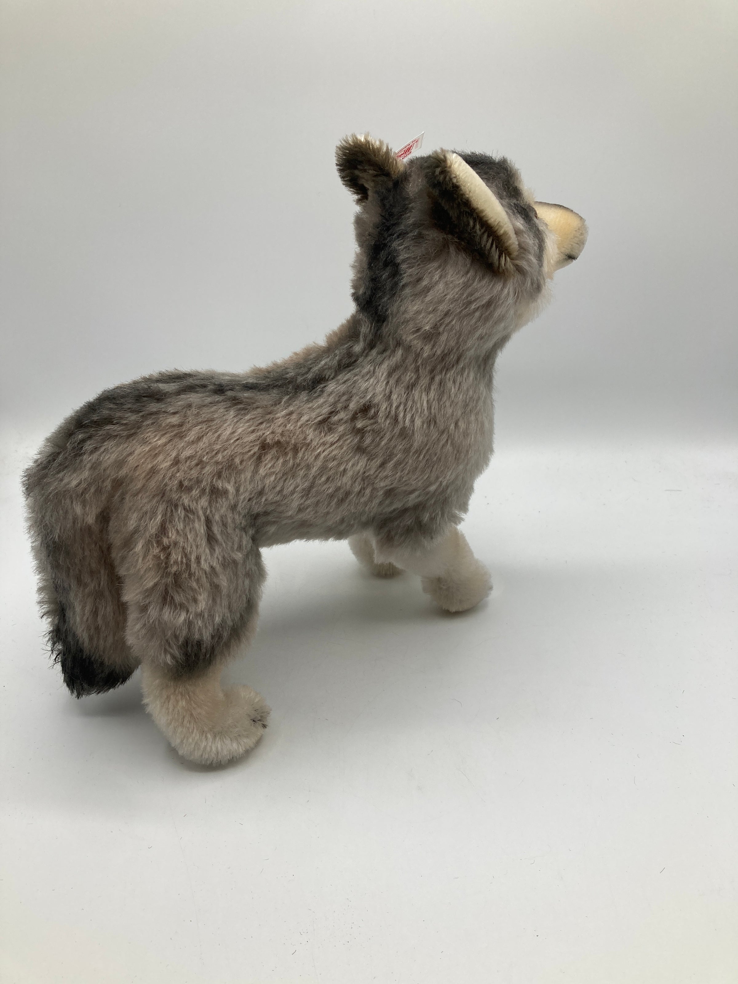Steiff Standing Grey Mohair Wolf With All IDs | My Site