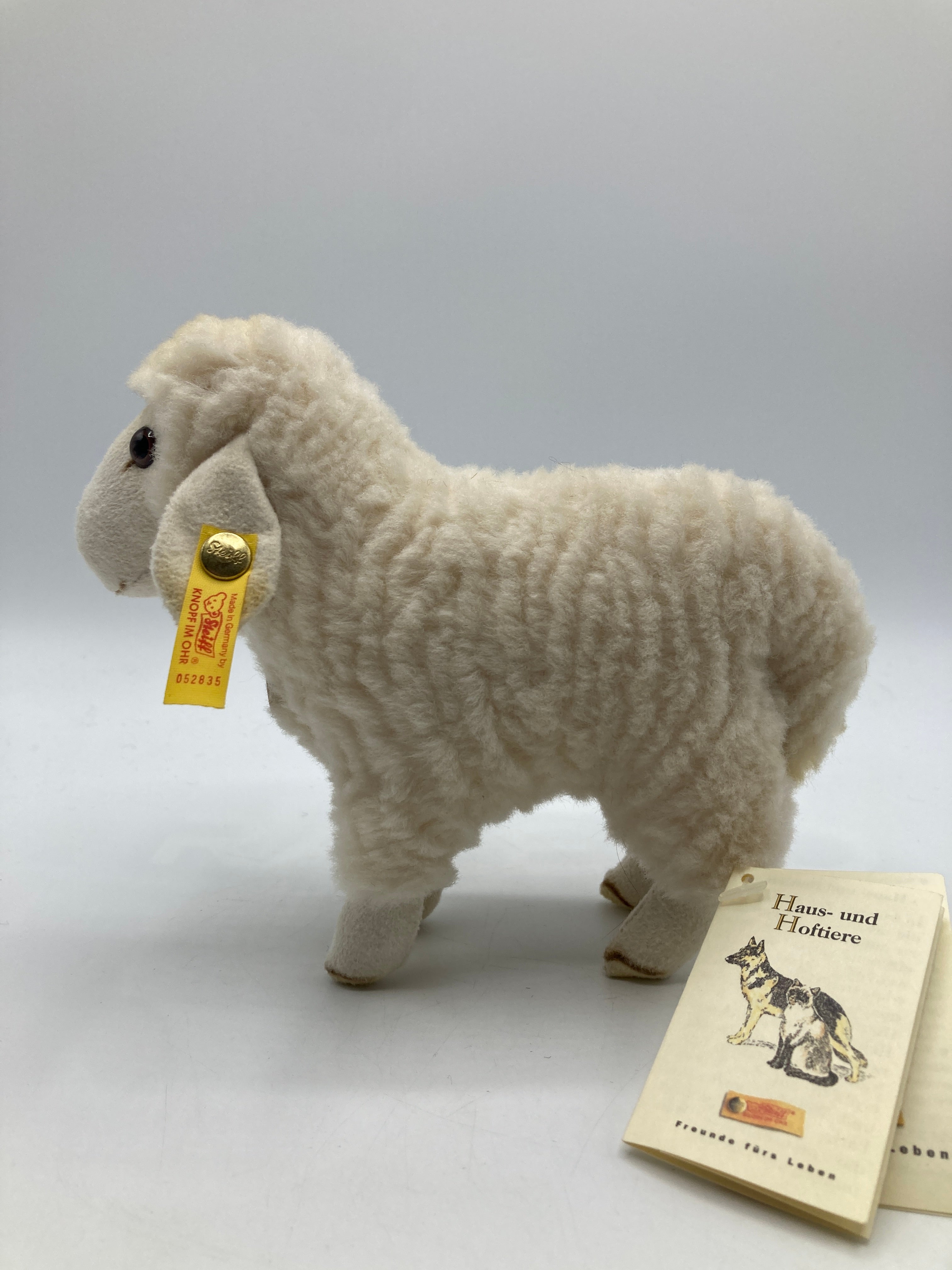 Steiff Soft Plush Lamby Lamb With All IDs | My Site