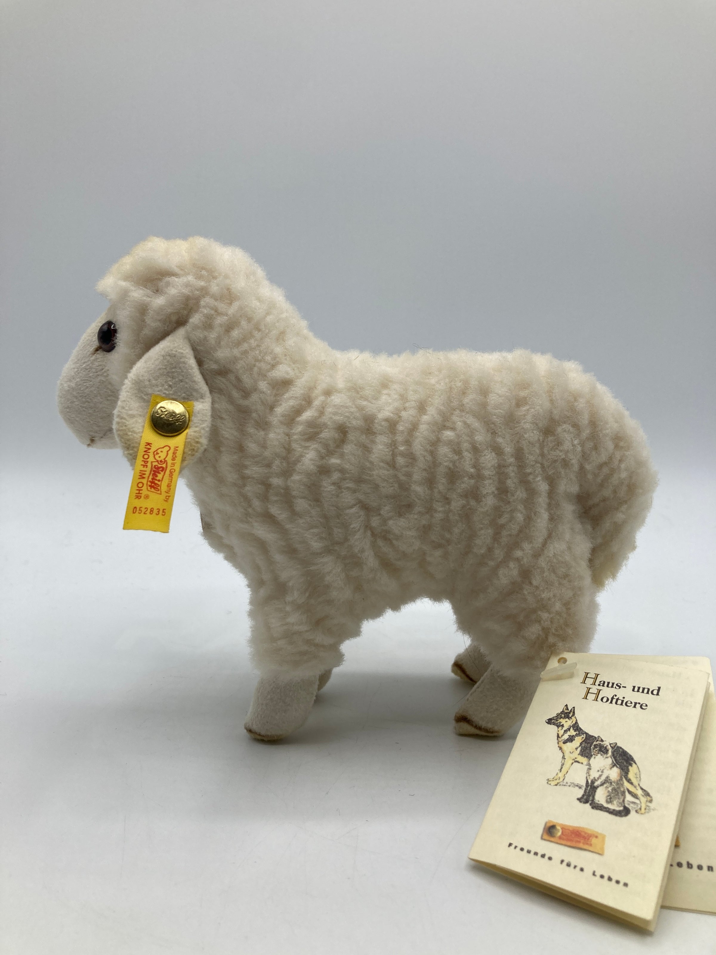 Steiff　ひつじのLamby Steiff Soft Plush Lamby Lamb With All IDs | My Site