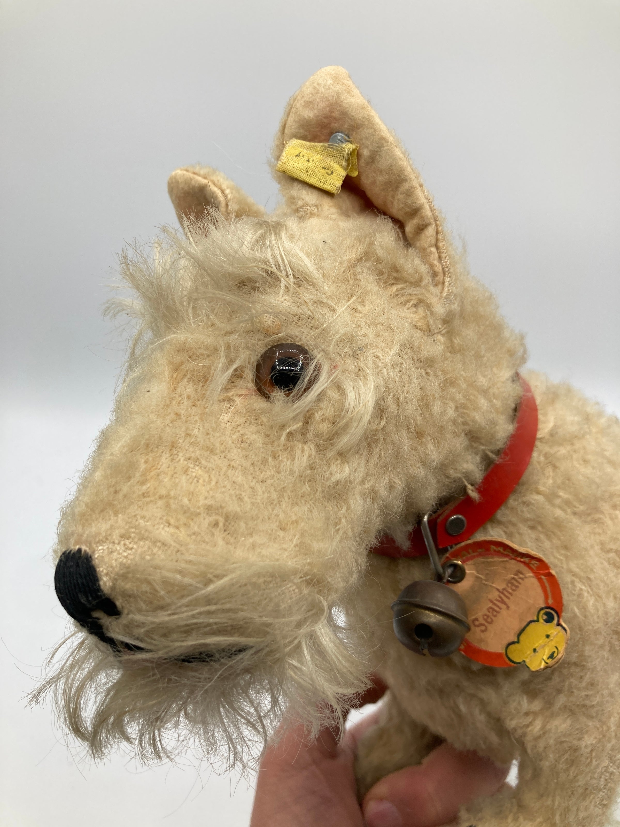 Steiff Wartime Era White Wool Plush Sealyham Dog With All IDs | My