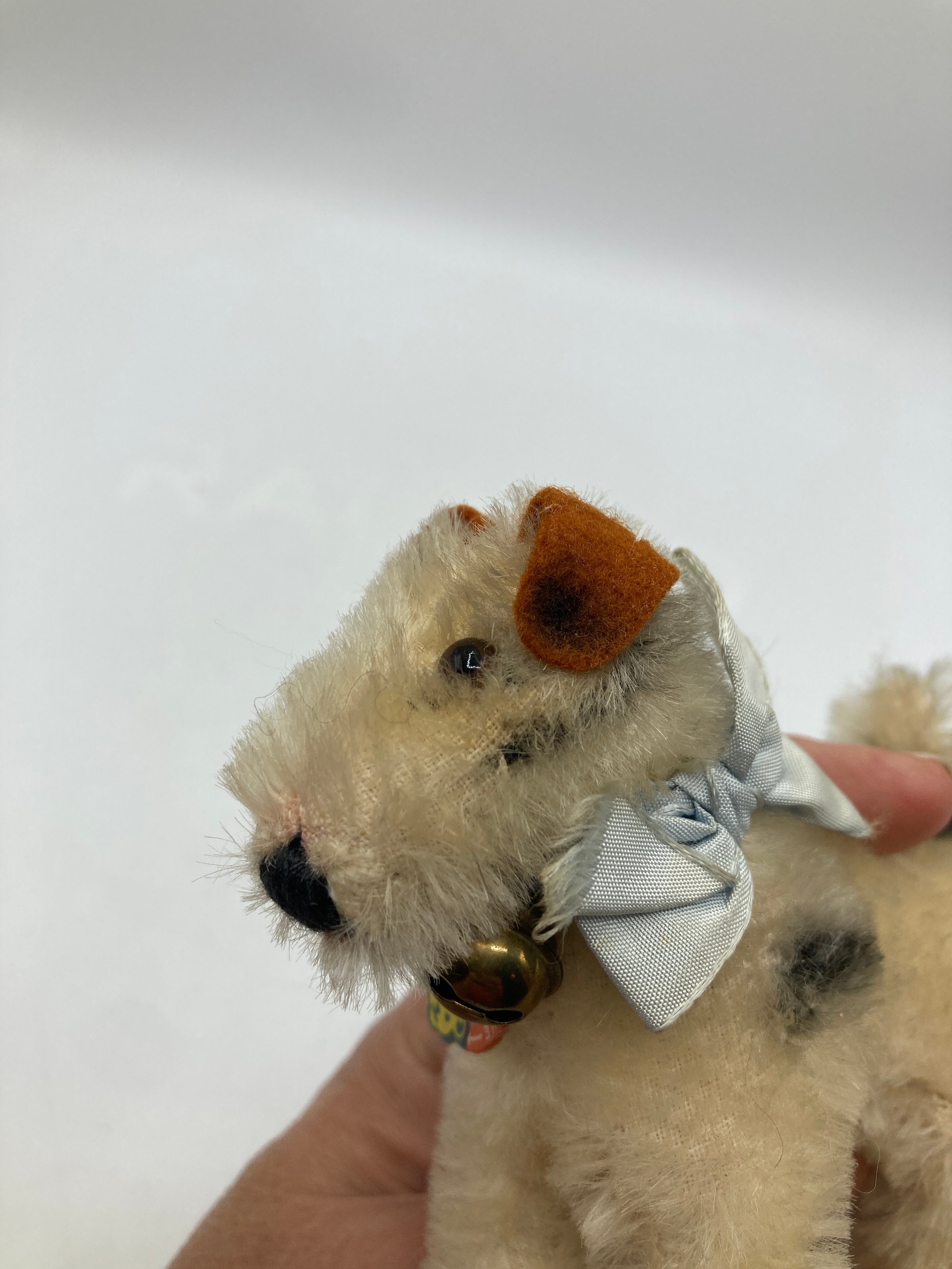 Steiff Almost Smallest Foxy Fox Terrier Dog With ID | My Site
