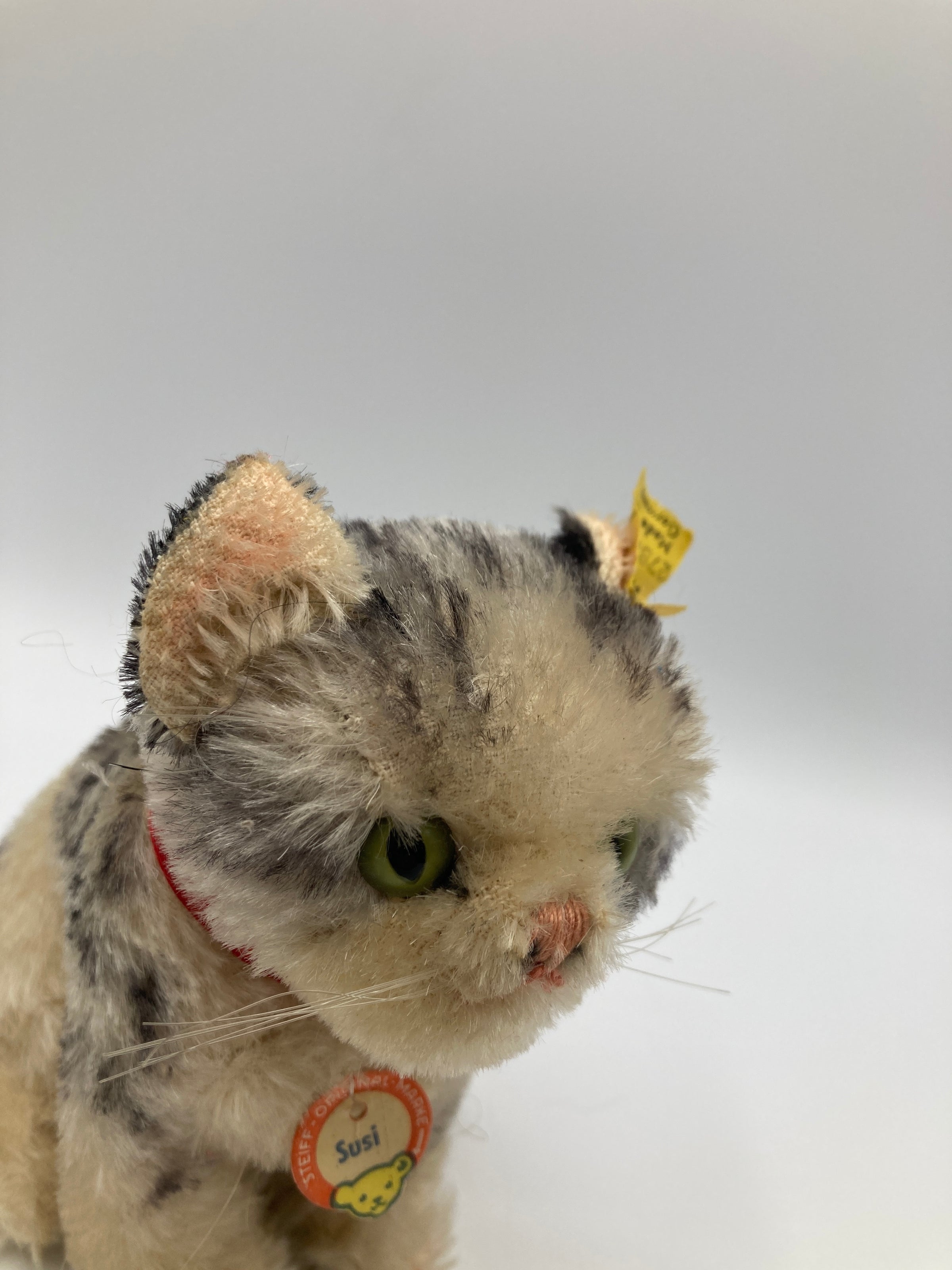 Steiff Medium Sitting Susi Cat With All IDs | My Site