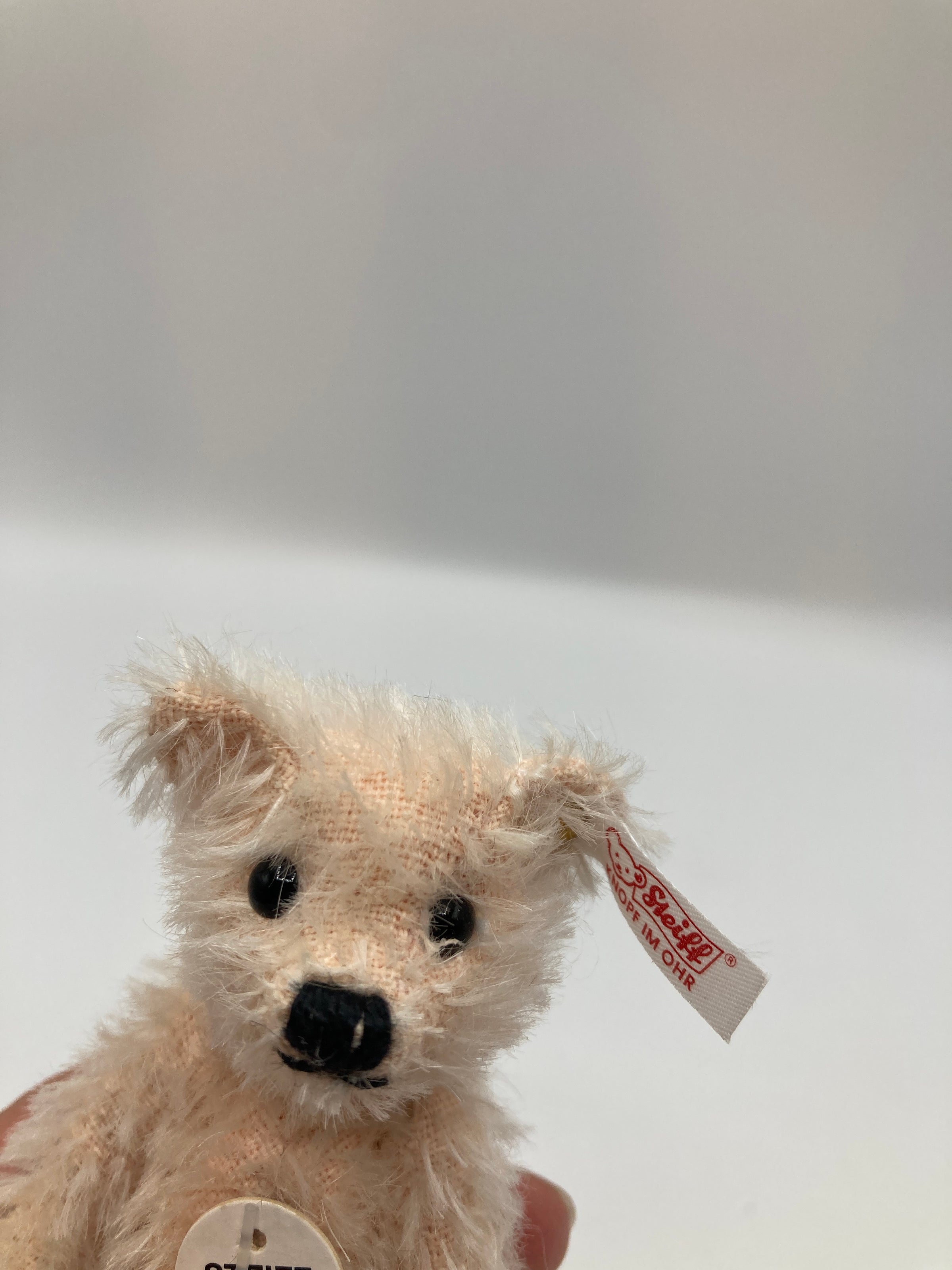 Steiff Fully Jointed Tiny 2003 Steiff Club Bear With All IDs | My Site