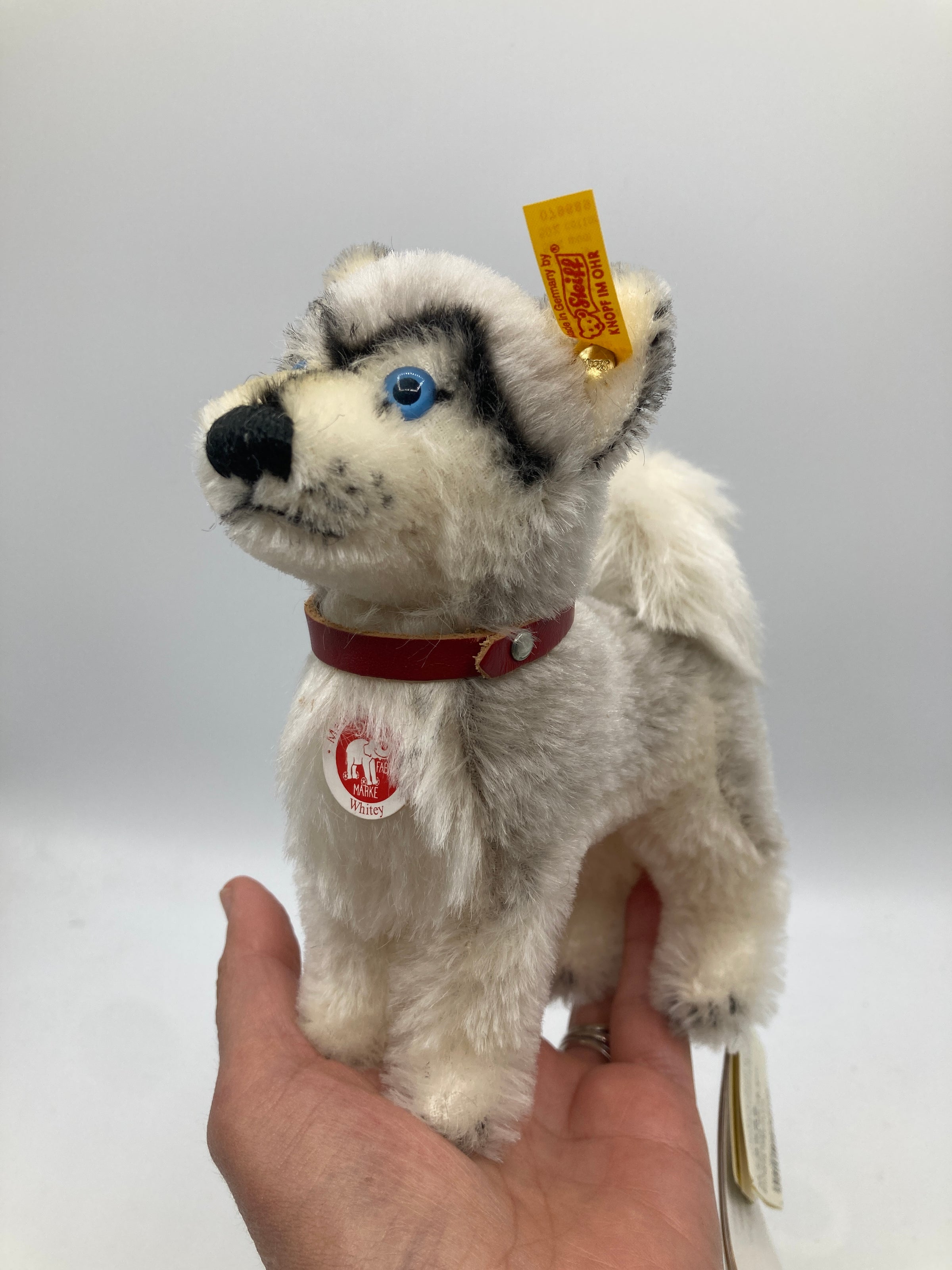 Steiff Mohair White and Grey Whitey Husky Dog with All IDs | My Site