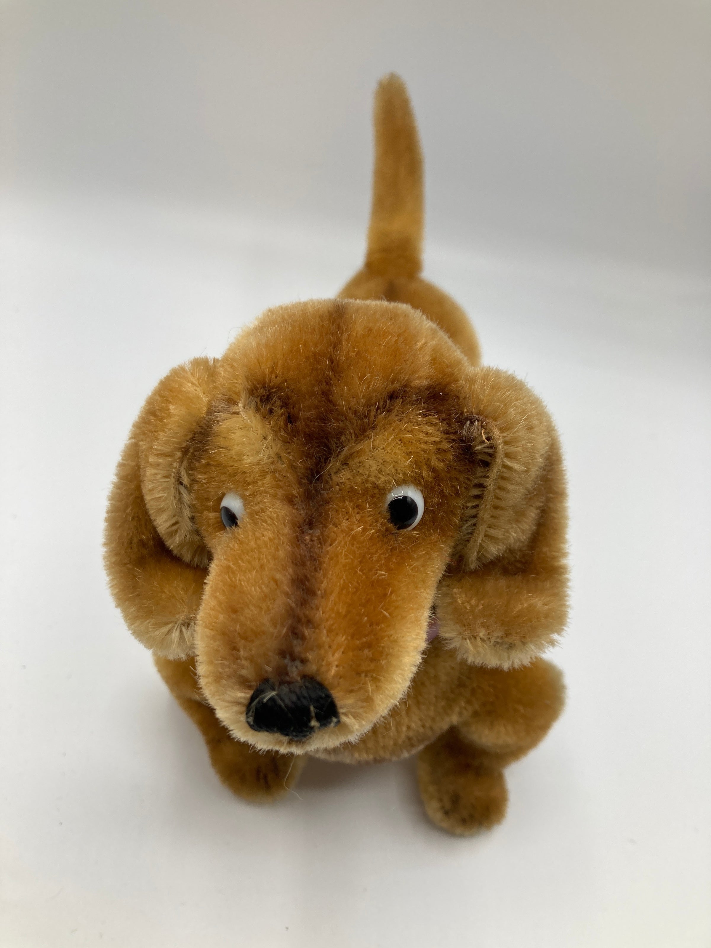 Steiff Medium Sized Hexie Dachshund With All IDs | My Site