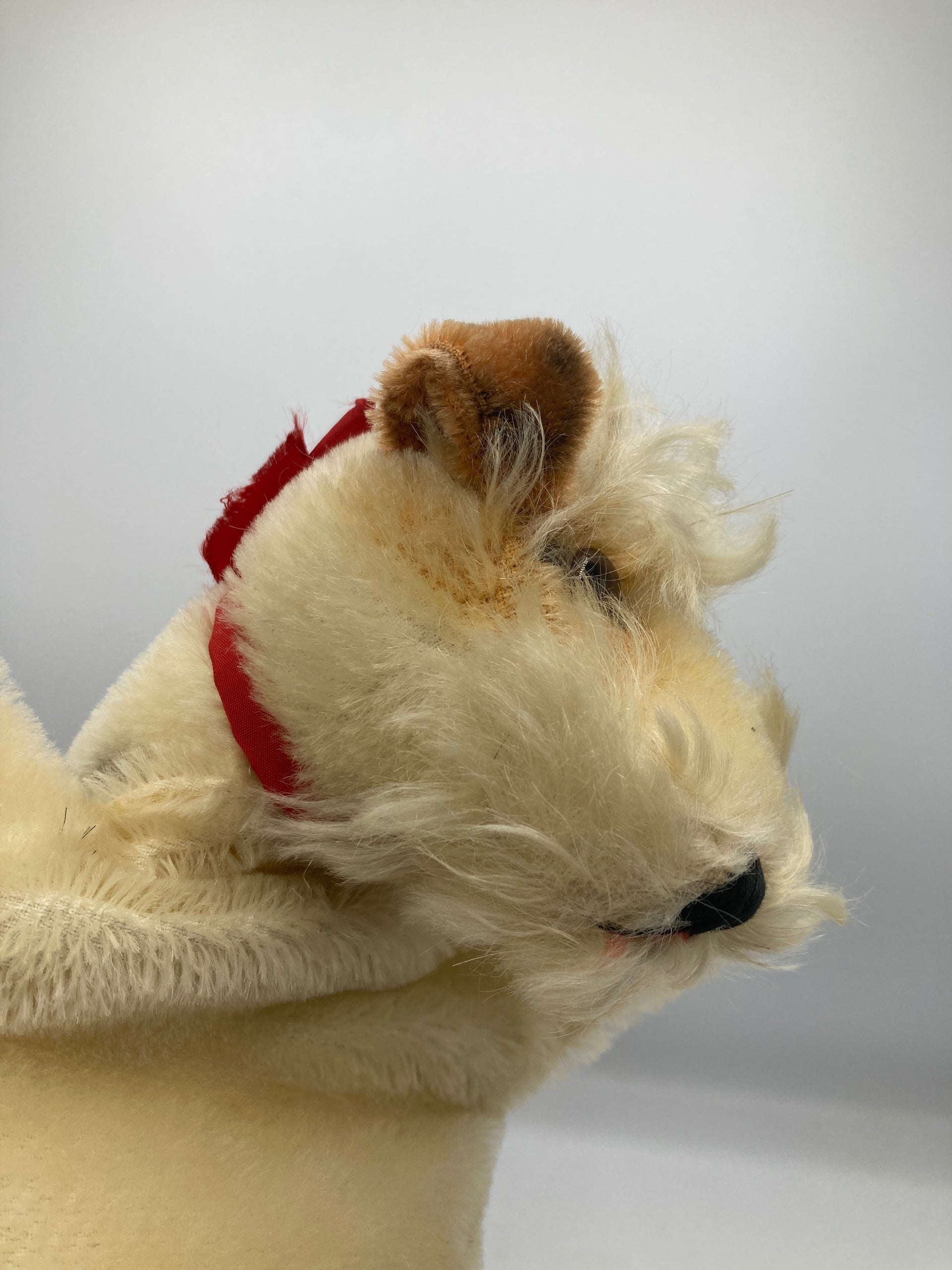 Steiff Foxy Fox Terrier Hand Puppet With ID | My Site