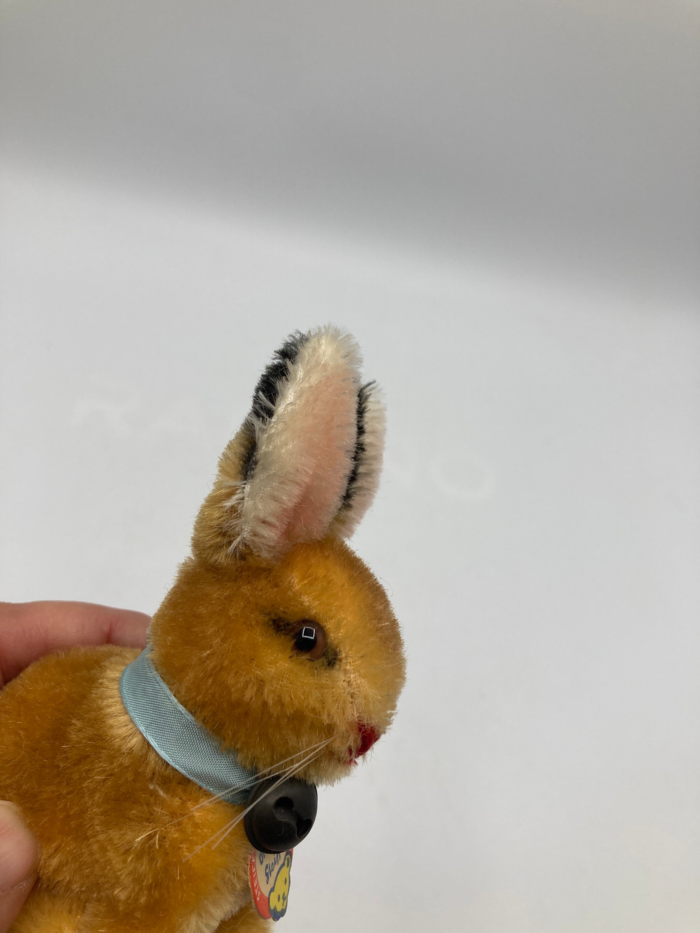 Steiff Smallest Mohair Sonny Bunny Rabbit With All IDs | My Site