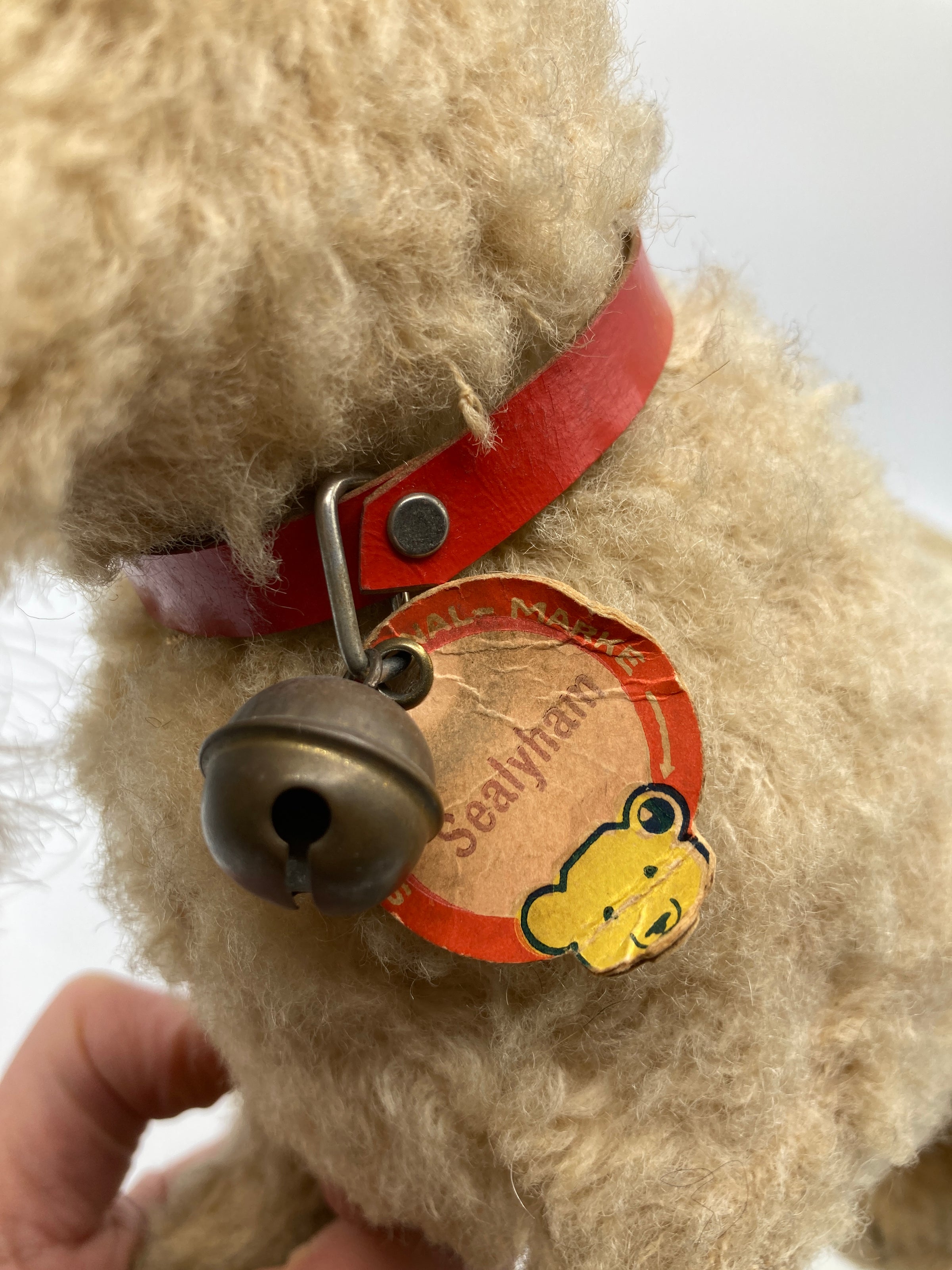 Steiff すみれ　日本限定 No.431 Steiff Wartime Era White Wool Plush Sealyham Dog With All IDs | My