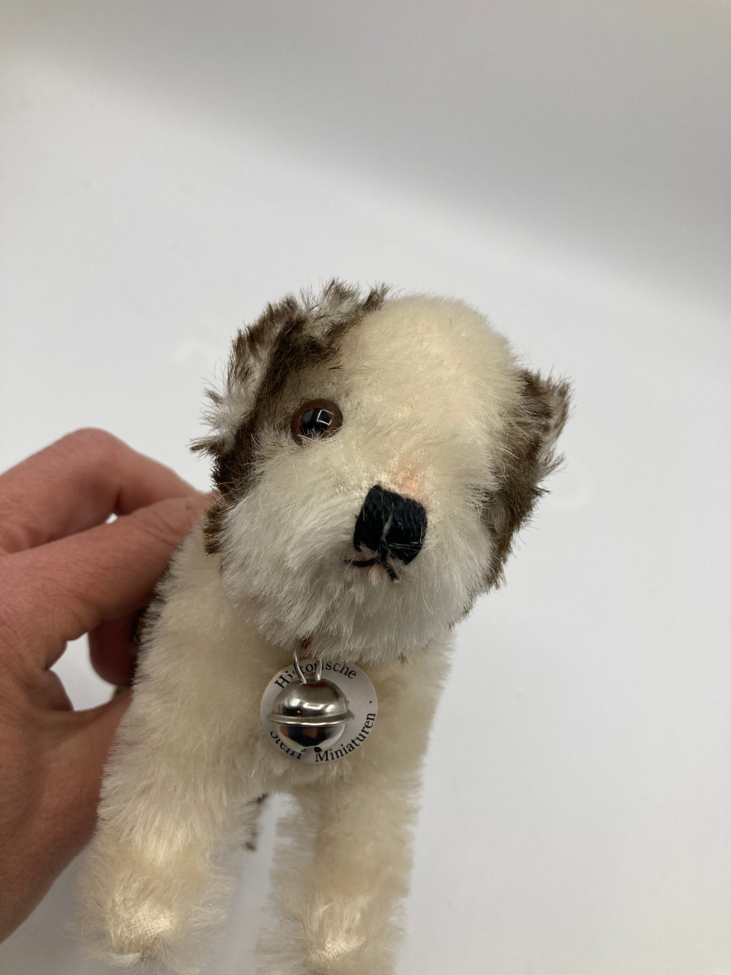 Steiff Standing Mohair Molly the Puppy Replica With All IDs