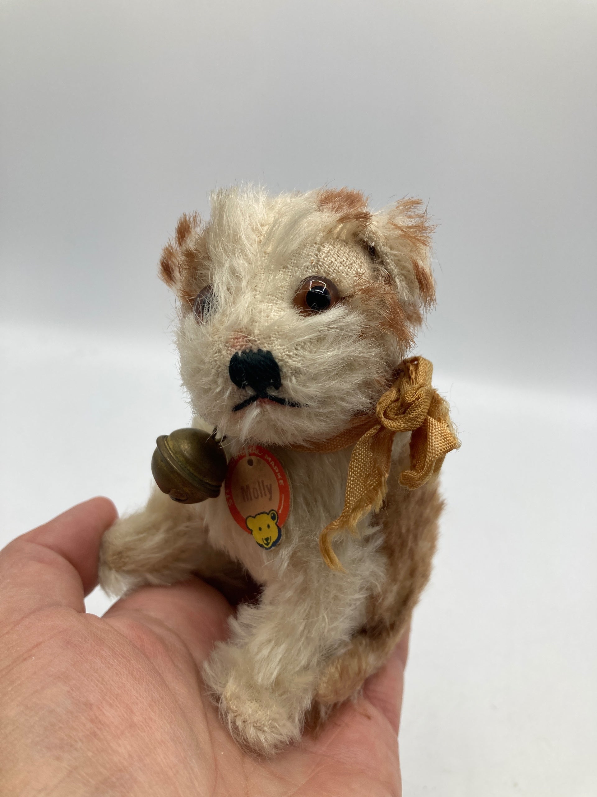 My SteiffLife | My Site