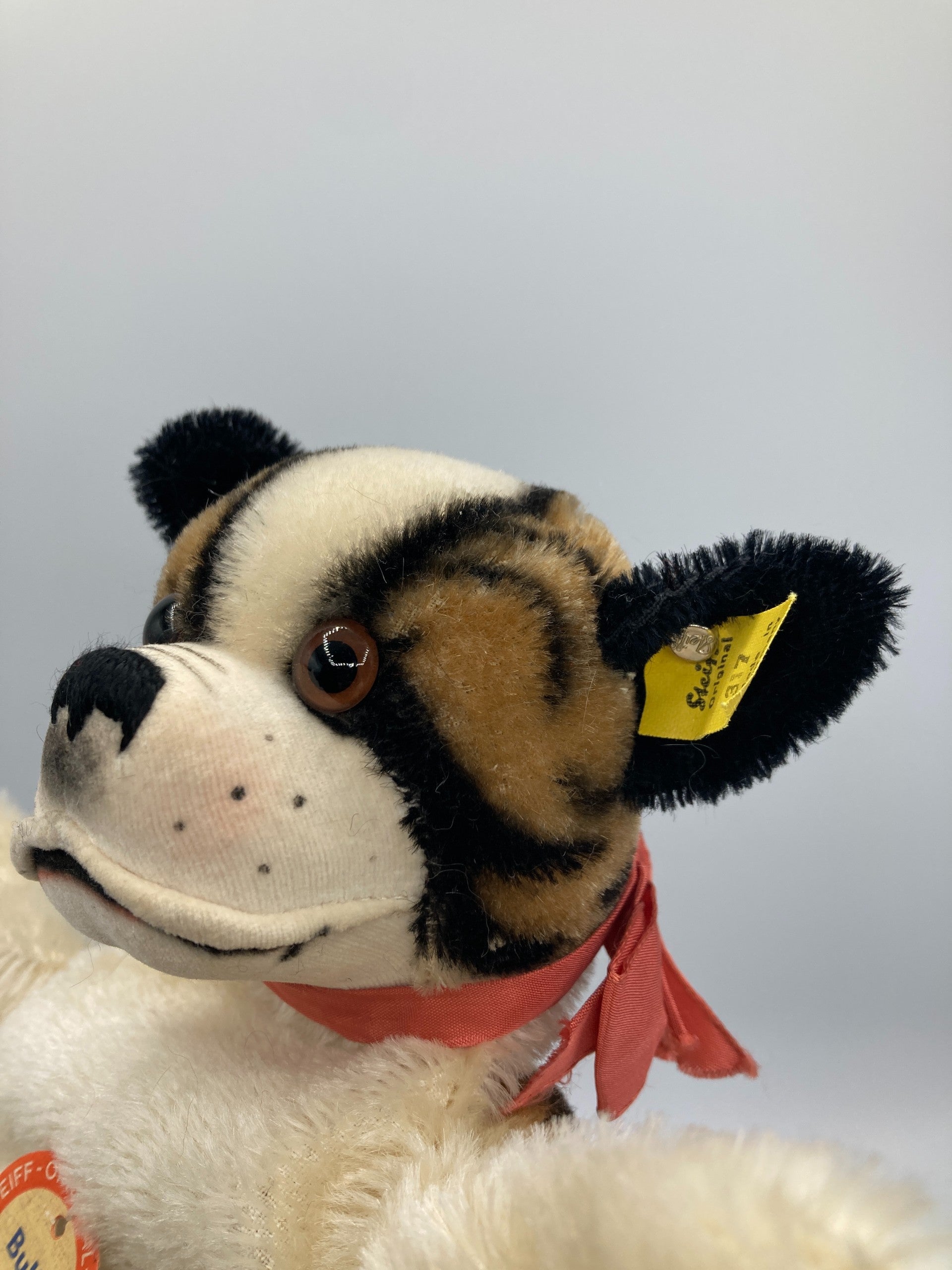 Steiff Bully Bulldog Hand Puppet With All IDs | My Site