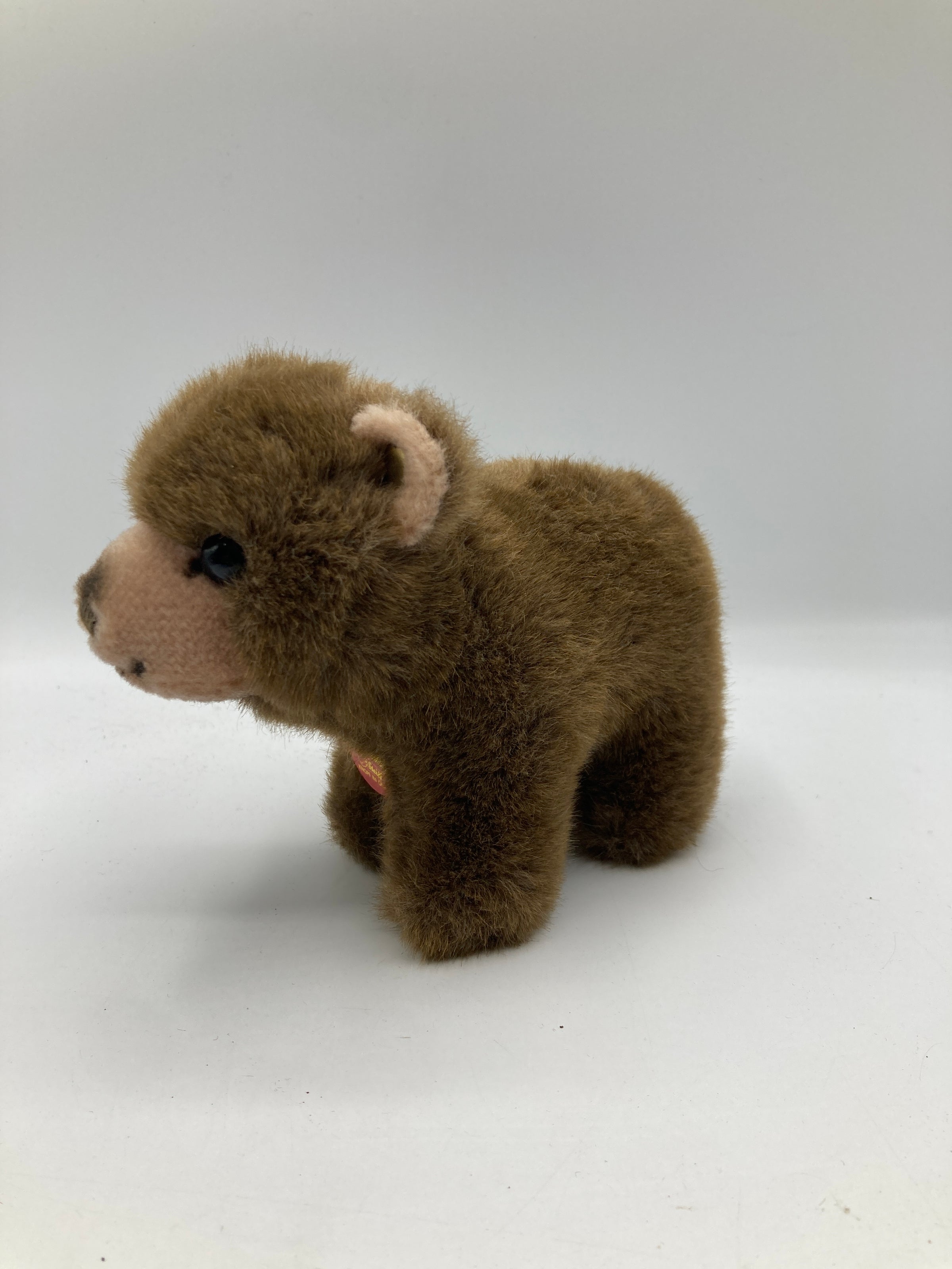 Steiff Standing Soft Plush Browny Bear With All IDs | My Site