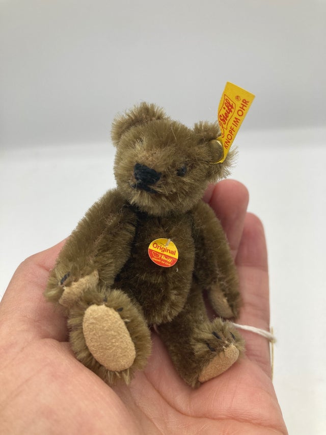 Bears | My Site