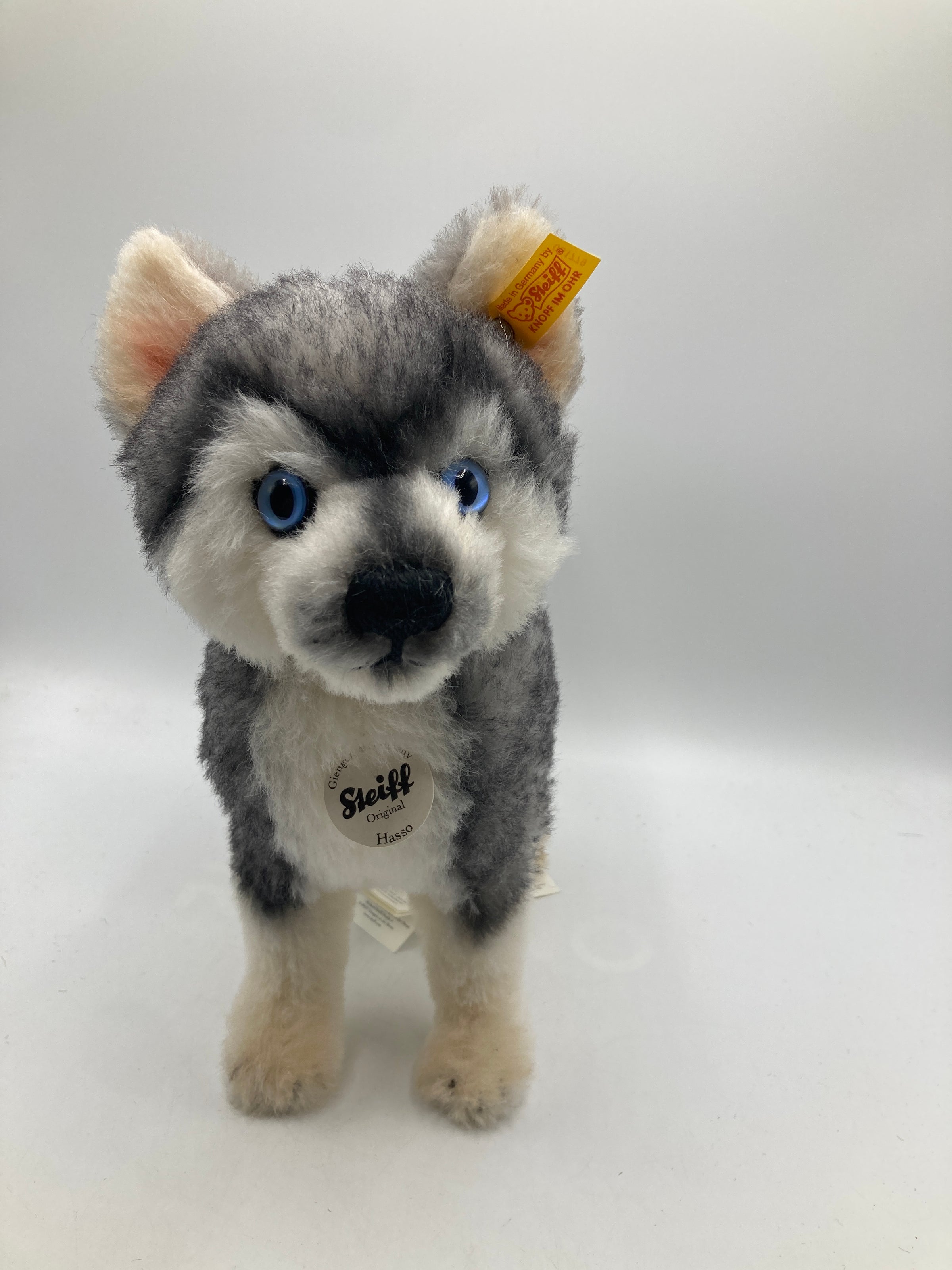 Steiff Hasso Husky Alpaca Dog with All IDs | My Site