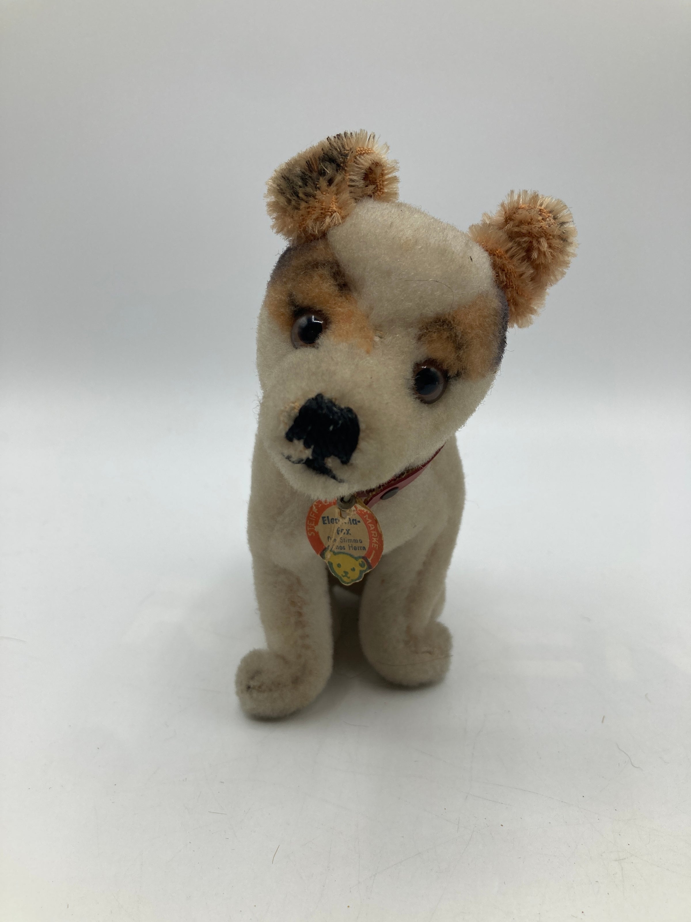 Steiff Smallest and Extremely Rare HMV Electrola Fox Dog With ID