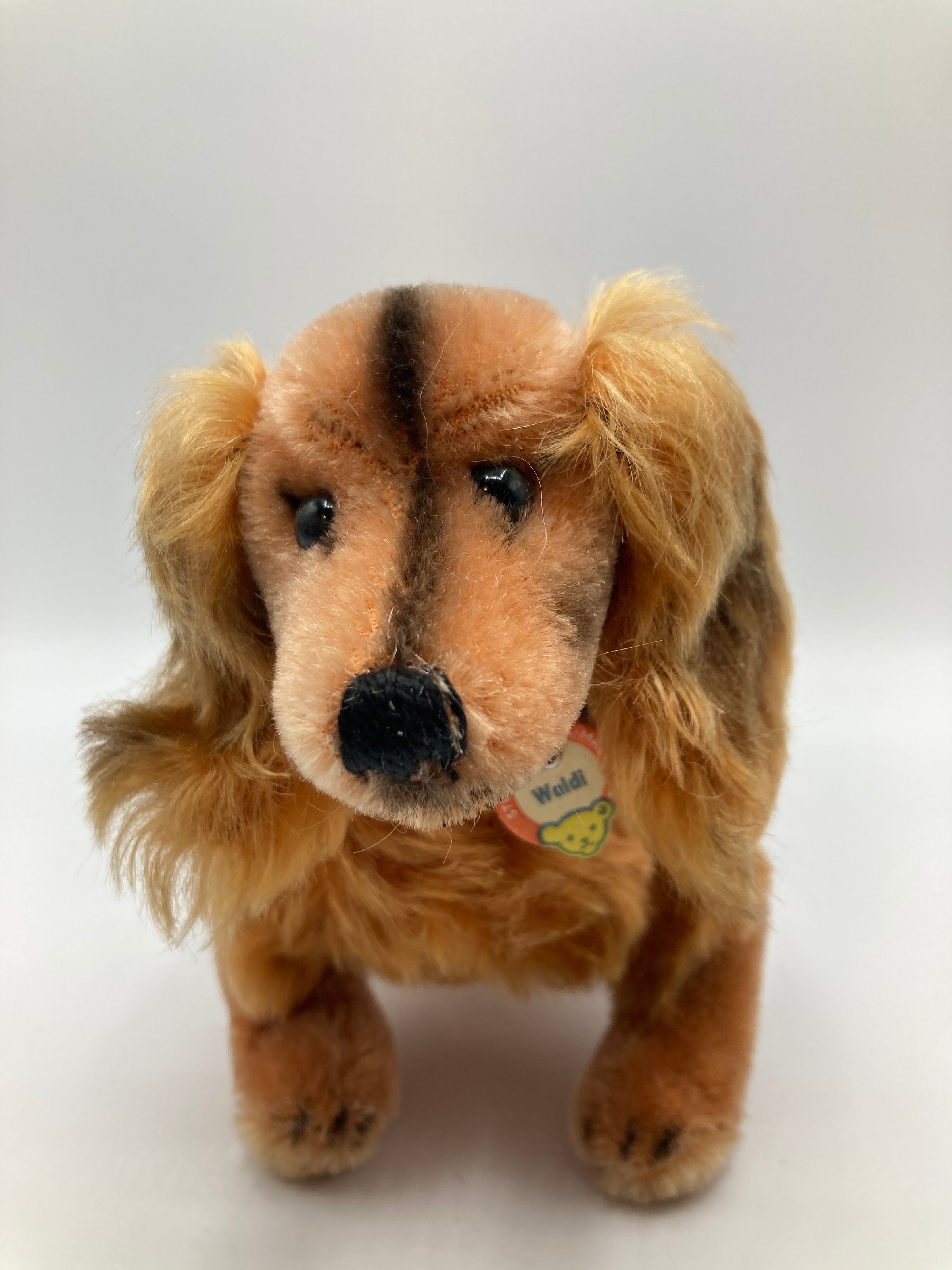 Steiff Smallest Mohair Waldi Dachshund With All IDs | My Site