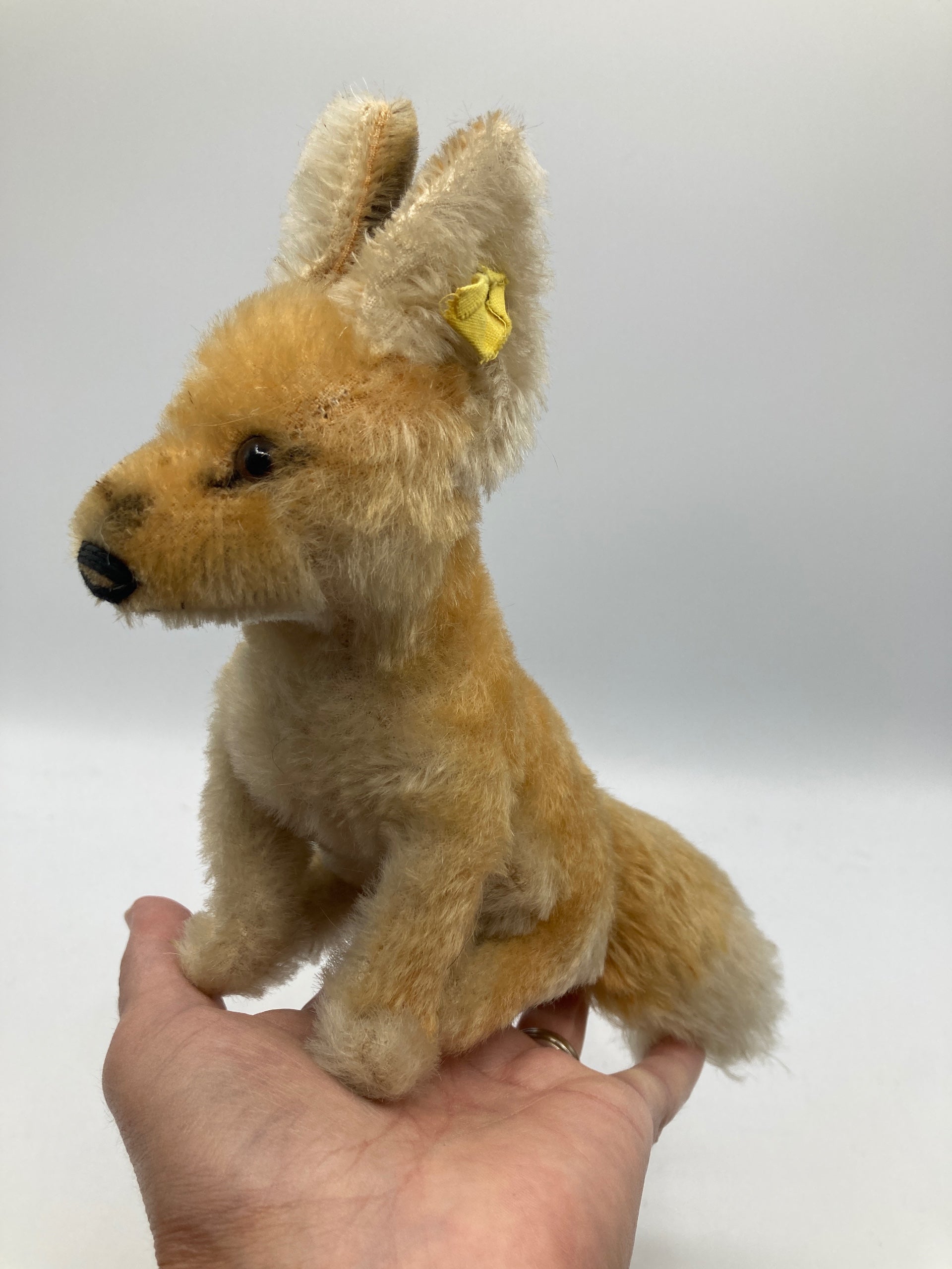 Steiff Sitting Desert Fox Xorry With IDs | My Site