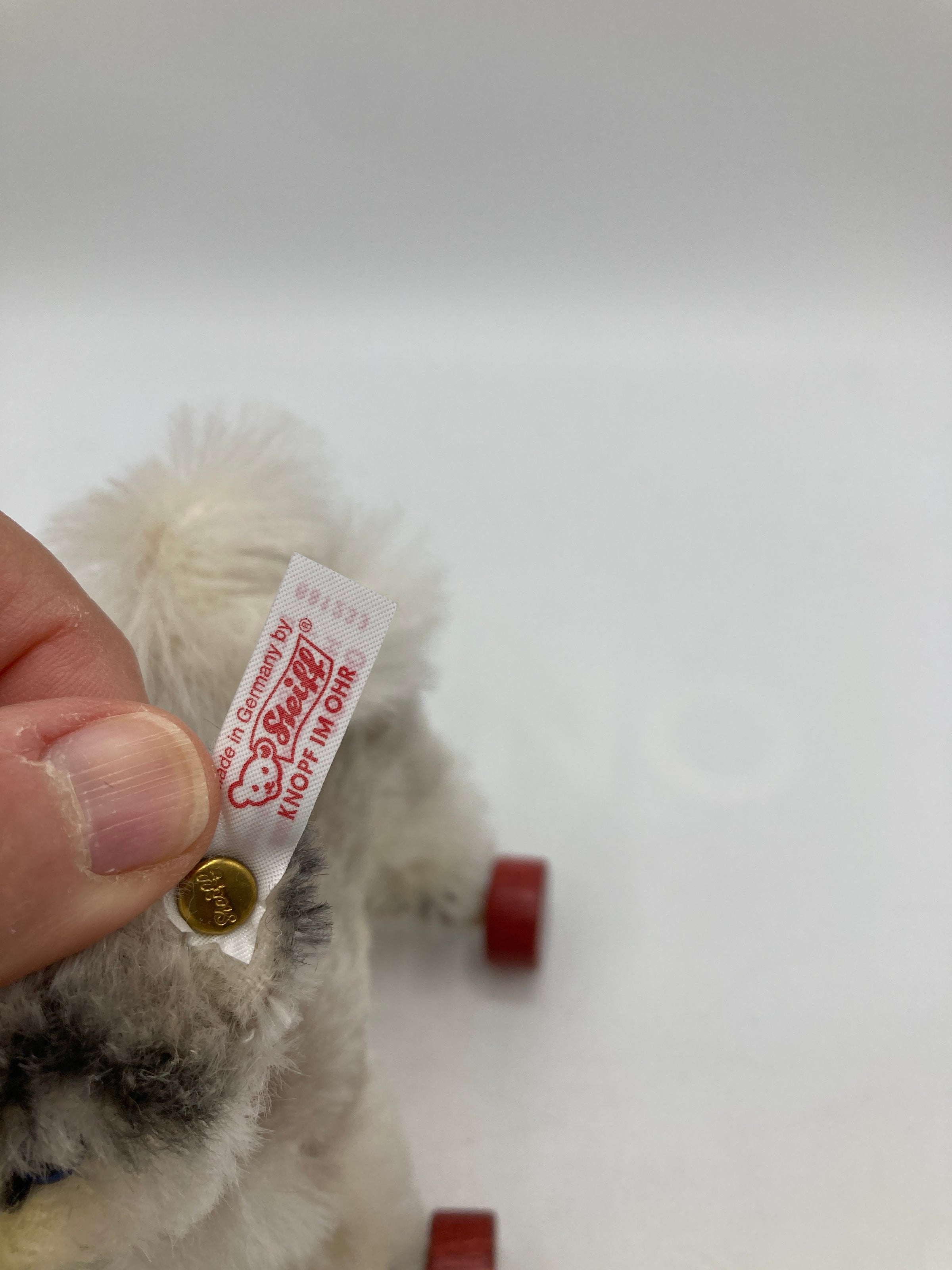 Steiff Mohair Baby Husky Dog On Wheels Ornament With All IDs | My Site