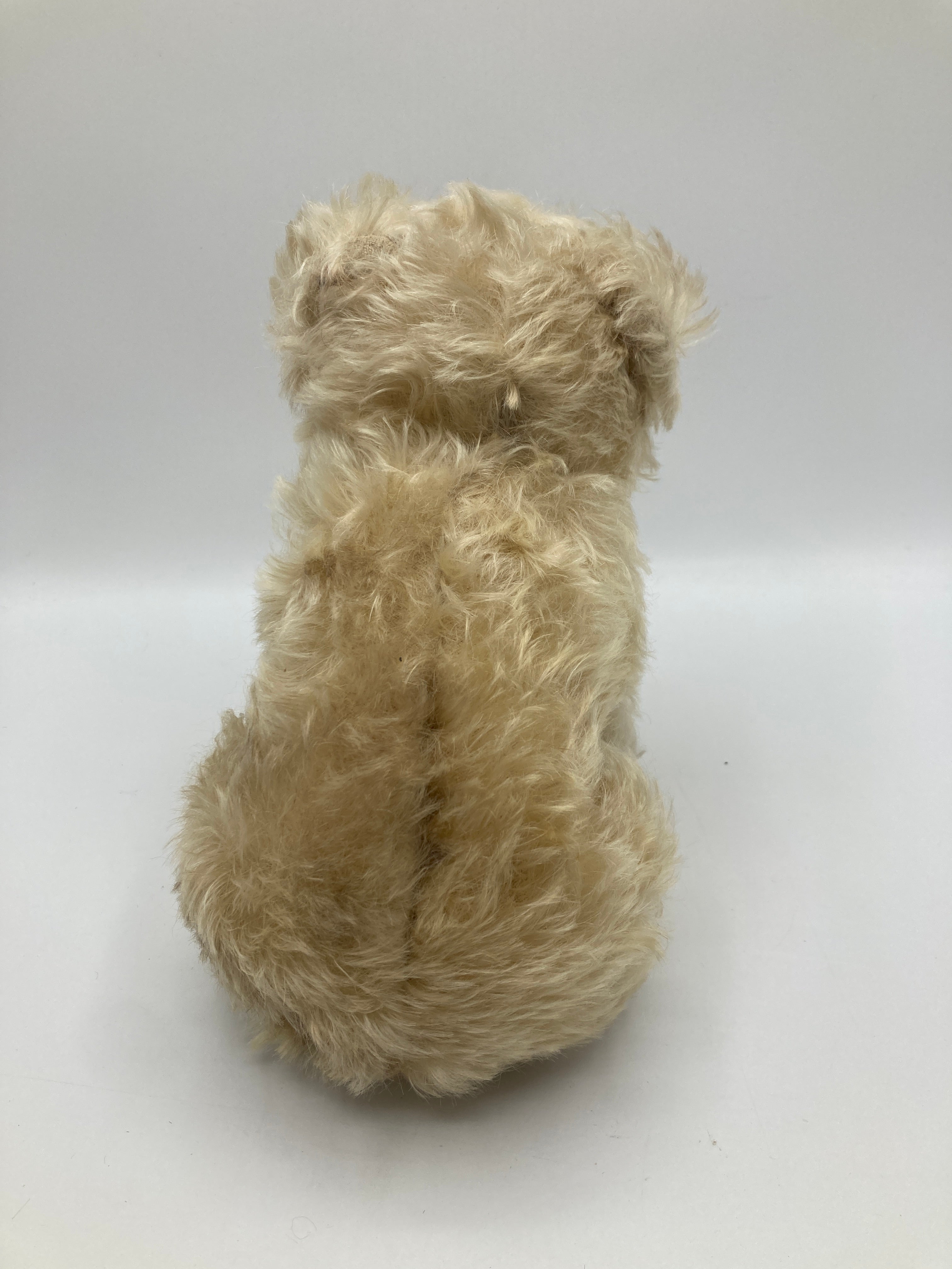 仔犬のMOLLY シュタイフドッグ 15cm ヴィンテージ