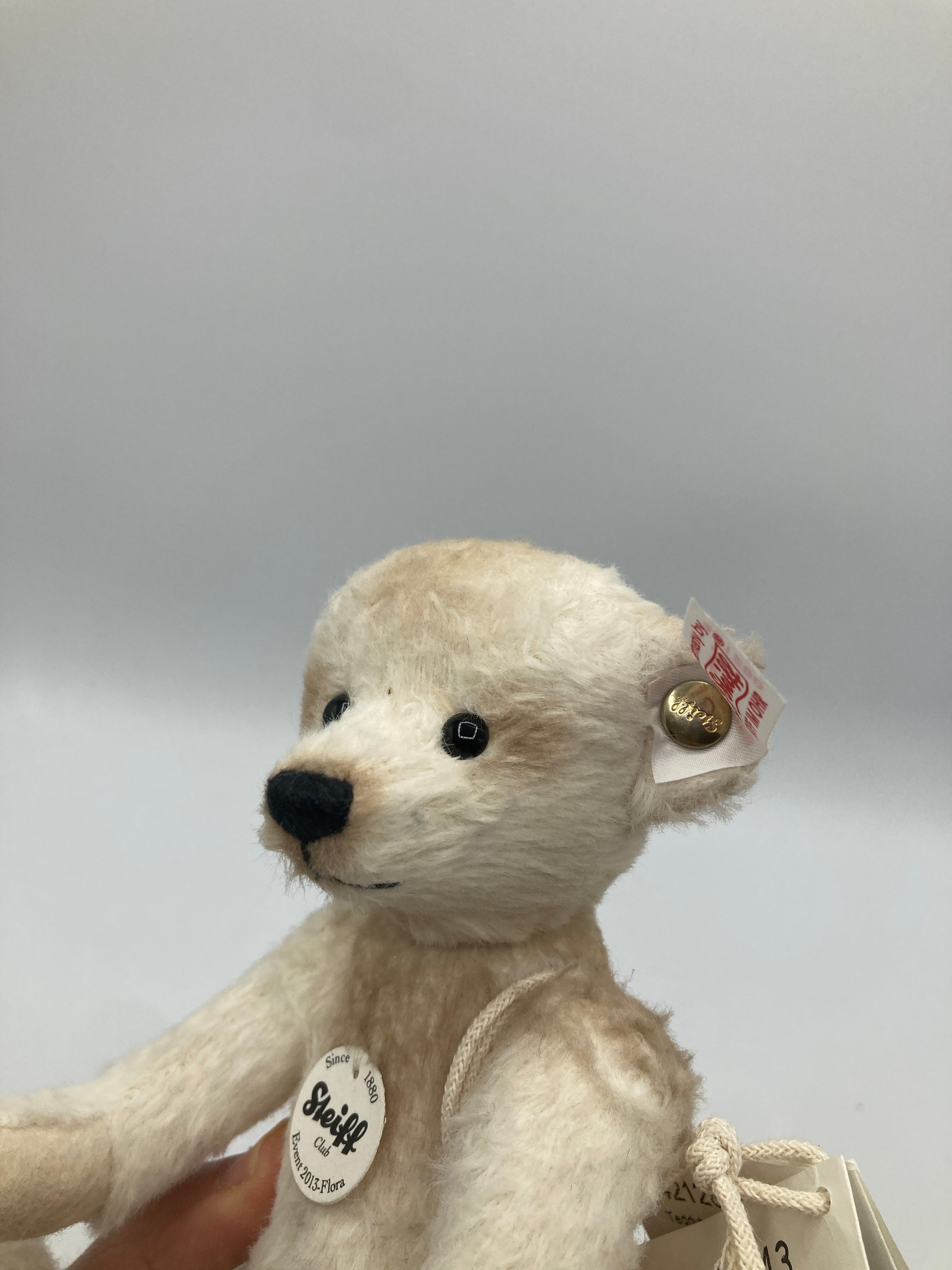 Steiff 2013 White and Tan Flora Special Event Teddy Bear With All