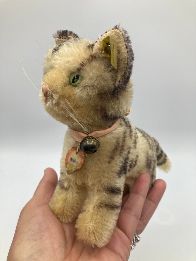 Cats | My Site