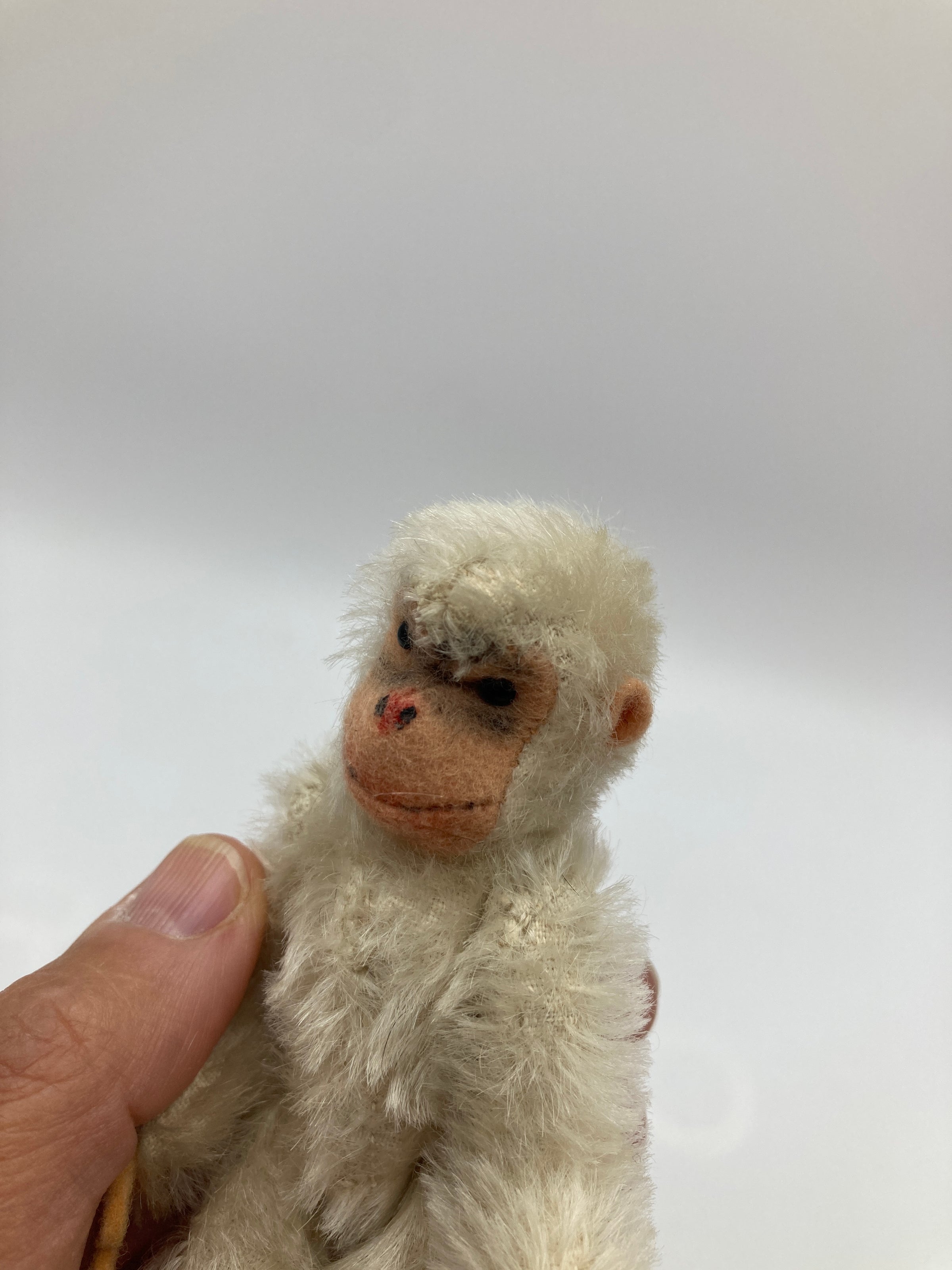 Steiff Smallest Fully Jointed White Jocko Monkey With IDs | My Site