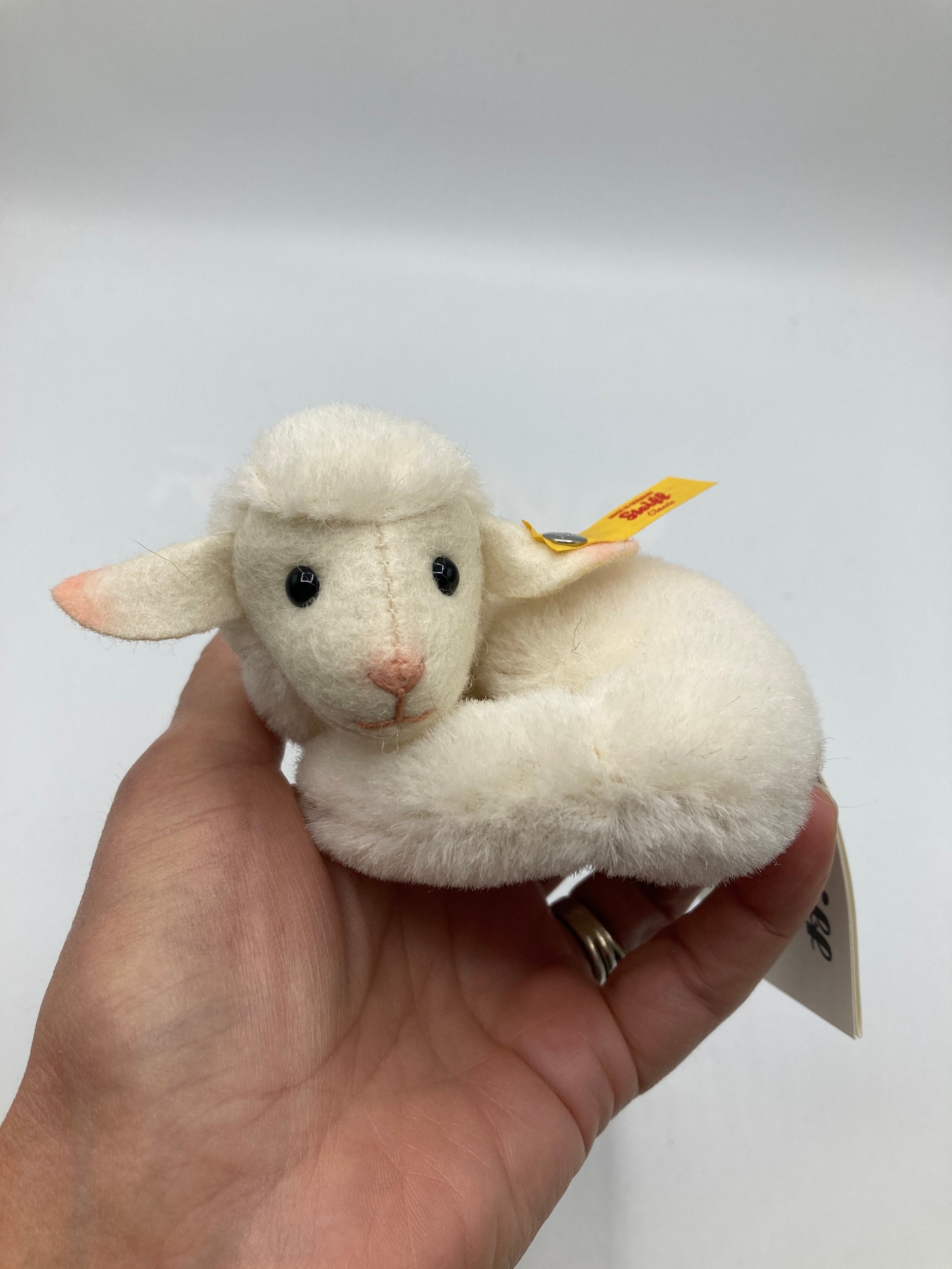 Steiff Mini Lamby Lamb With All IDs | My Site
