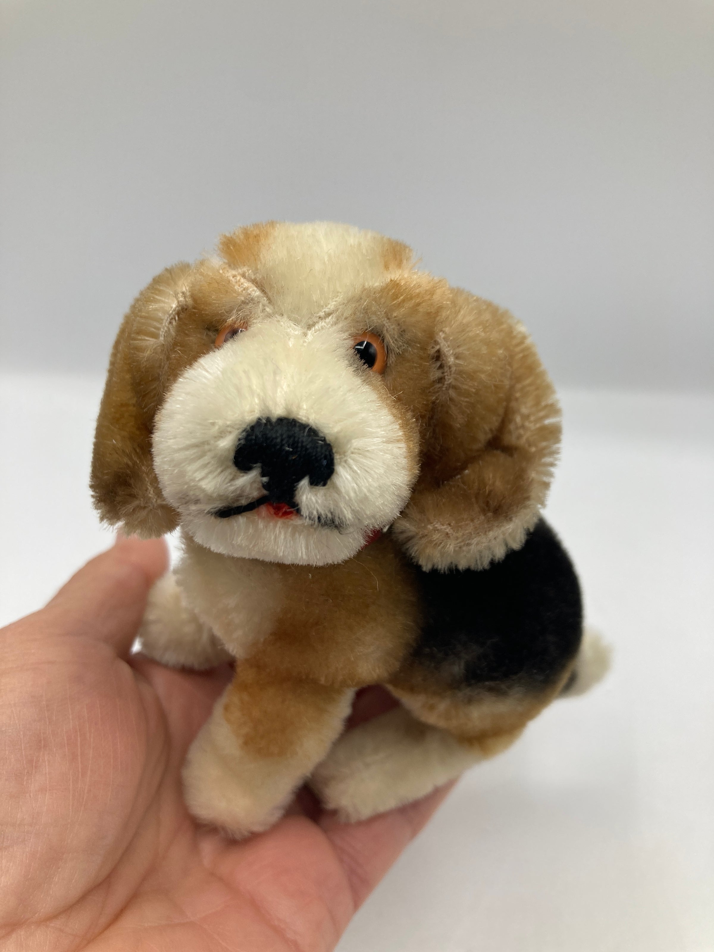 Steiff Smallest Sitting Biggie Beagle With IDs | My Site