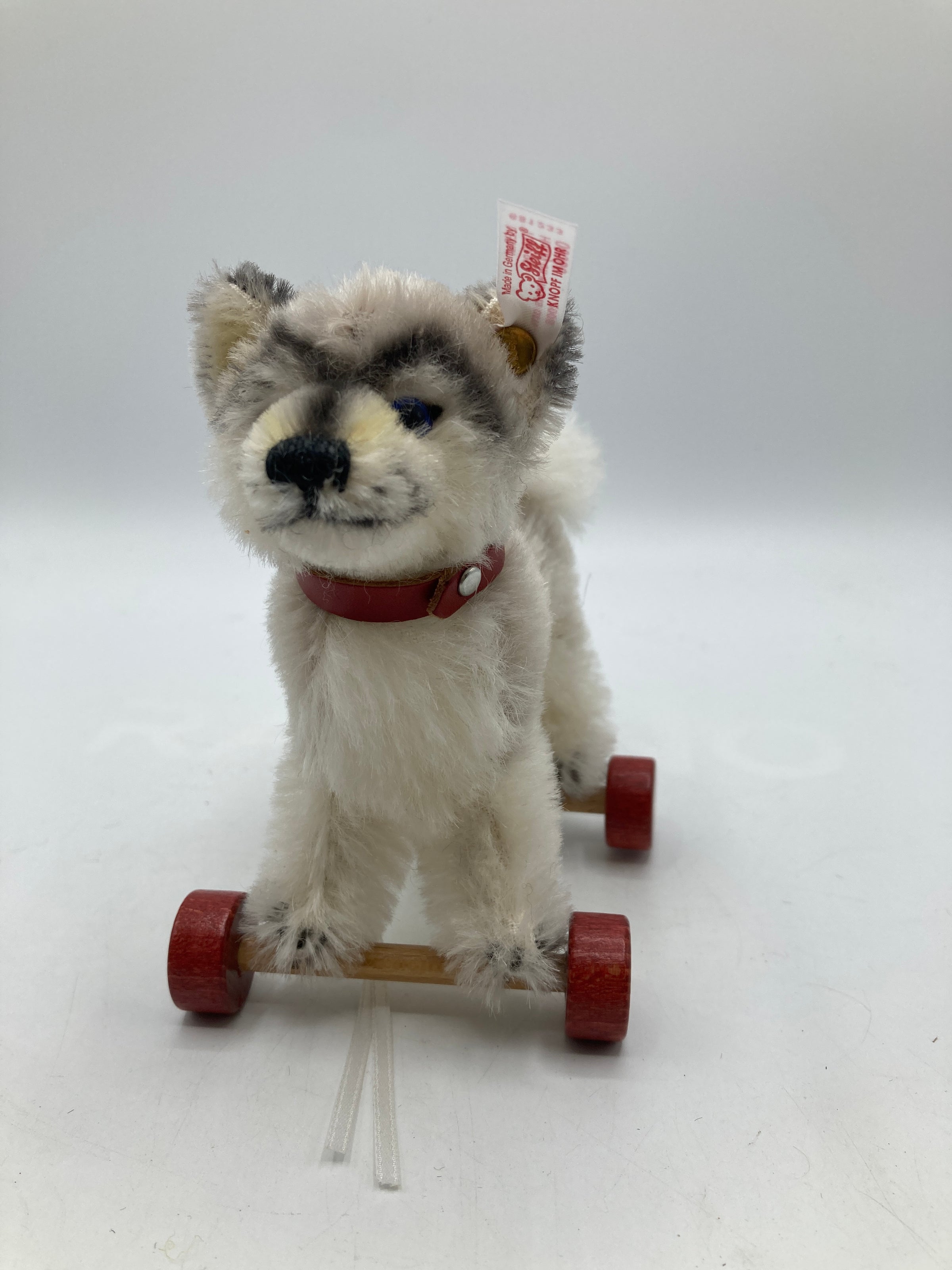 Steiff Mohair Baby Husky Dog On Wheels Ornament With All IDs | My Site