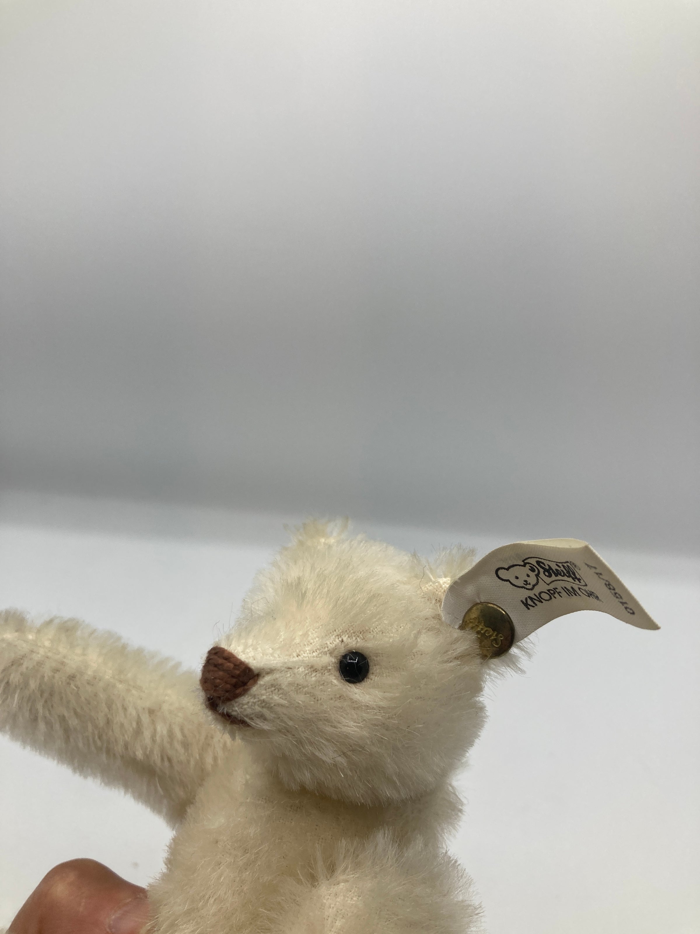 Steiff Mohair Snap A Part Teddy Bear 1909 Replica With All IDs