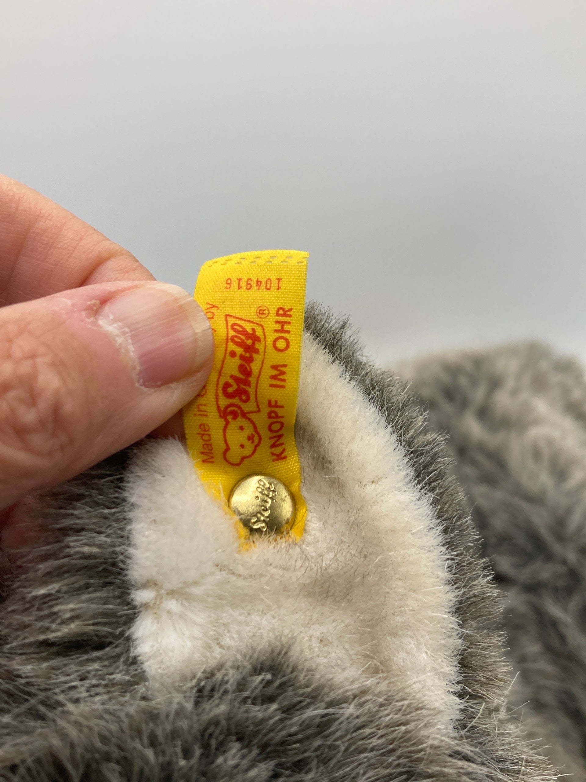 Steiff Husky Bernie Soft Plush Dog With All IDs | My Site