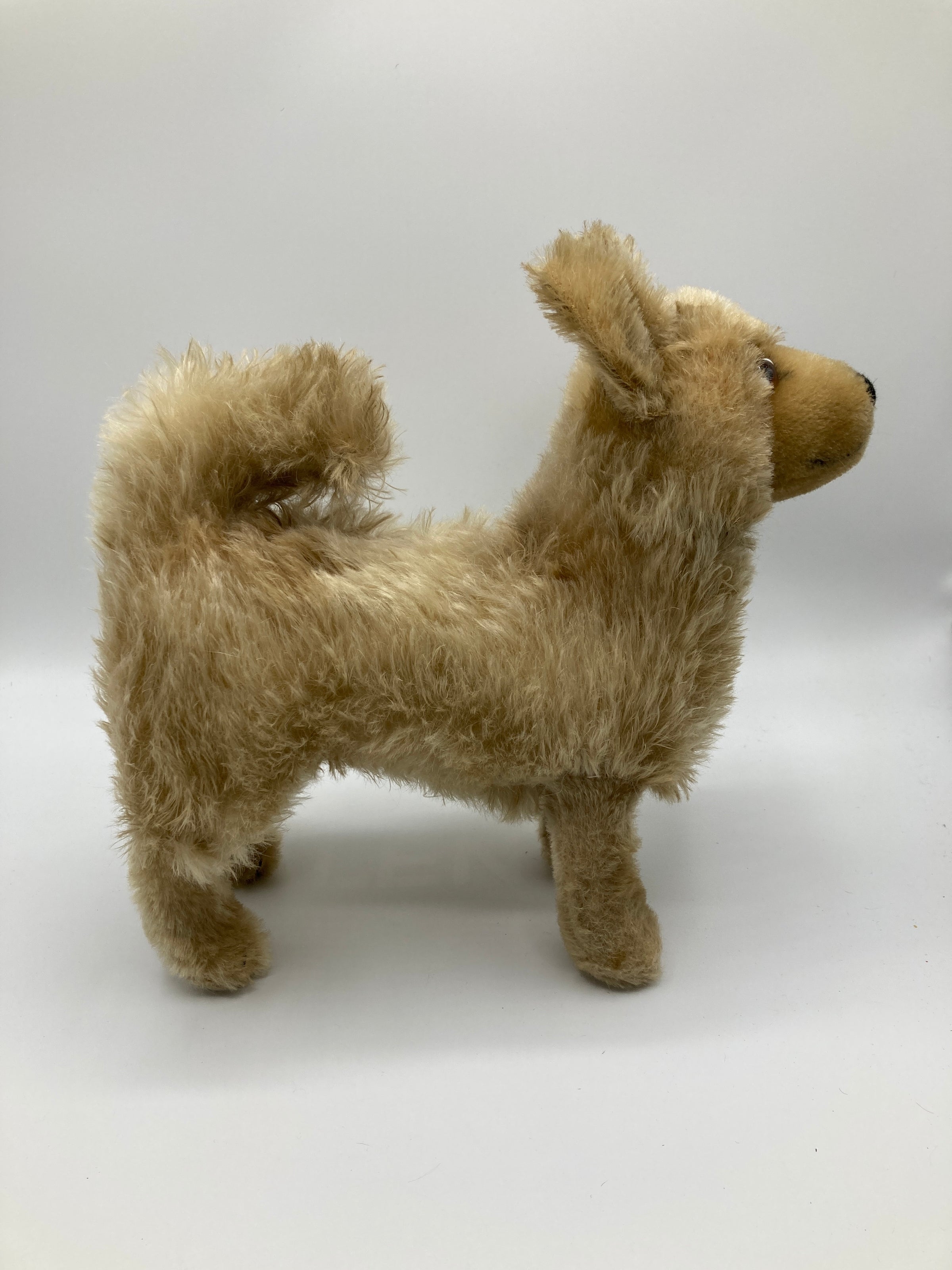 Steiffビンテージラクダ Steiff Wartime Era White Wool Plush Sealyham Dog With All IDs | My
