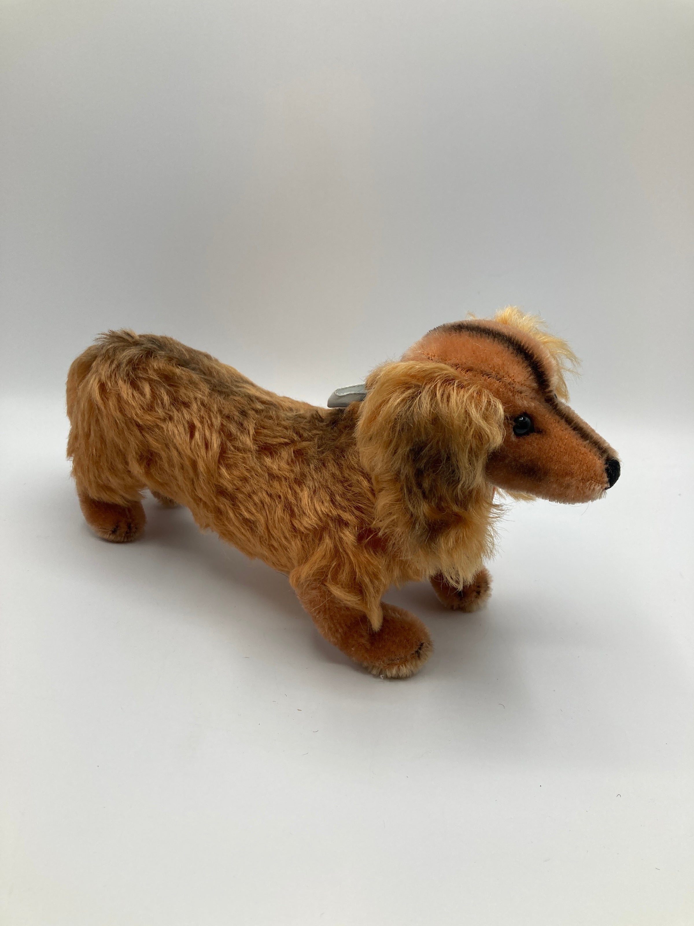 Steiff Smallest Mohair Waldi Dachshund With All IDs | My Site