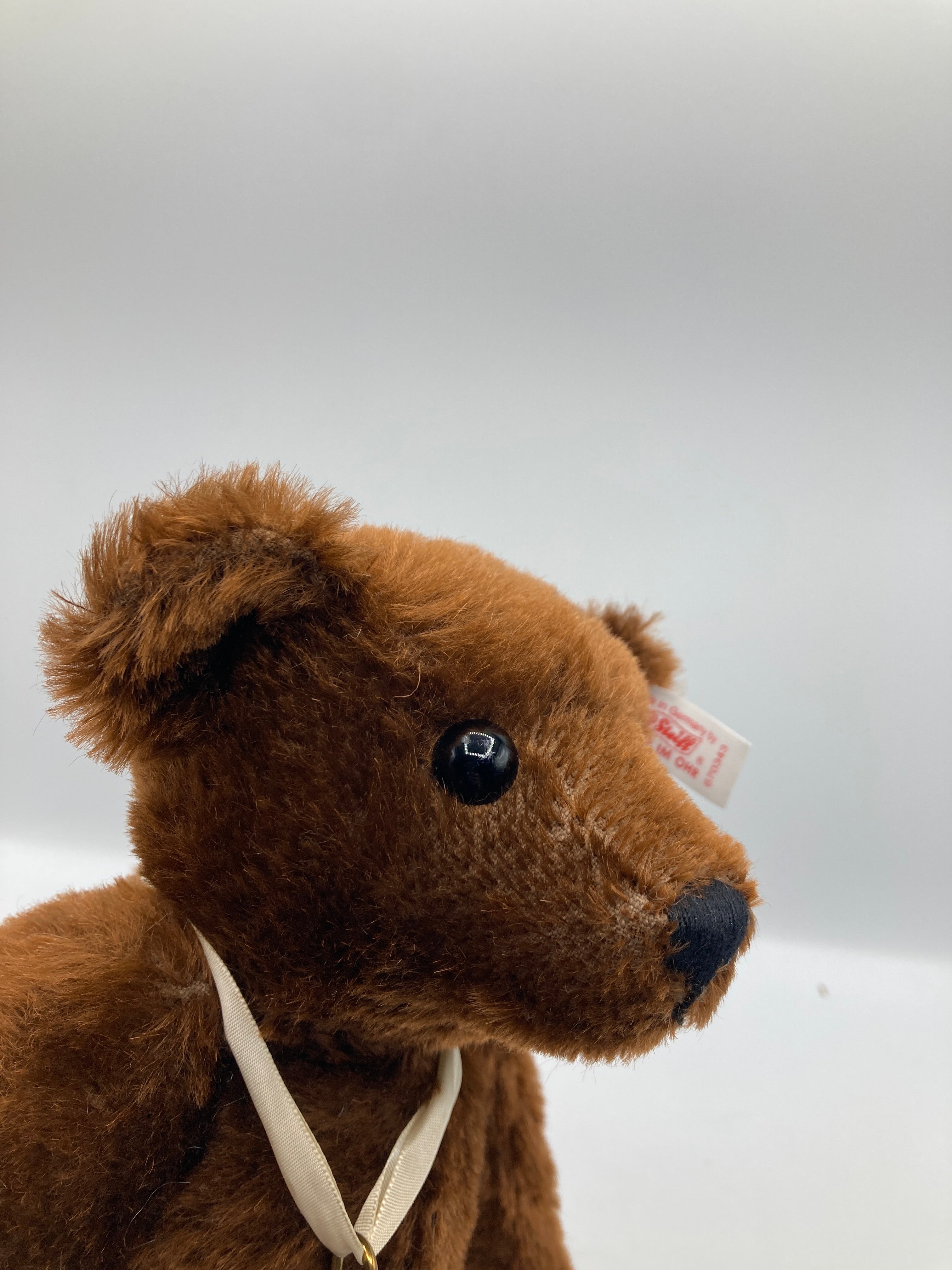Steiff Museum Exclusive Teddy Bear With All IDs | My Site