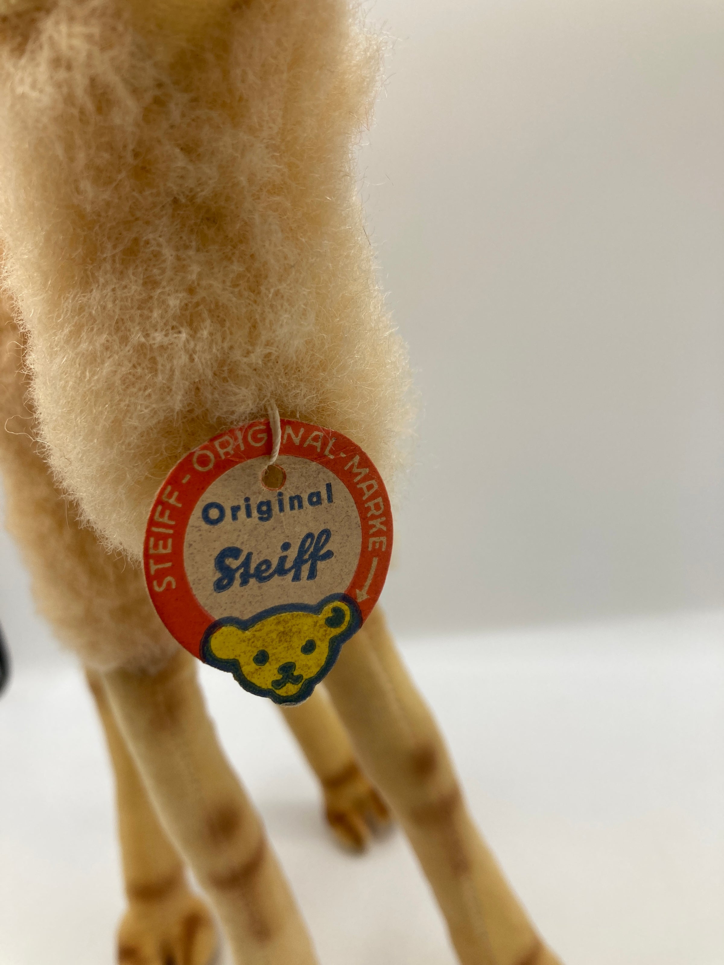 Steiff Almost Largest Wool Plush and Velvet Camel With All IDs