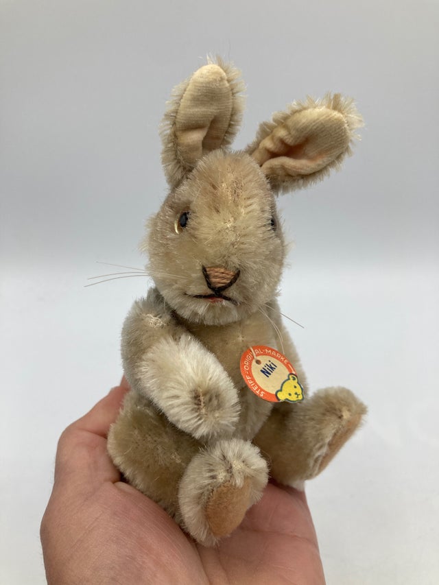 Rabbits | My Site