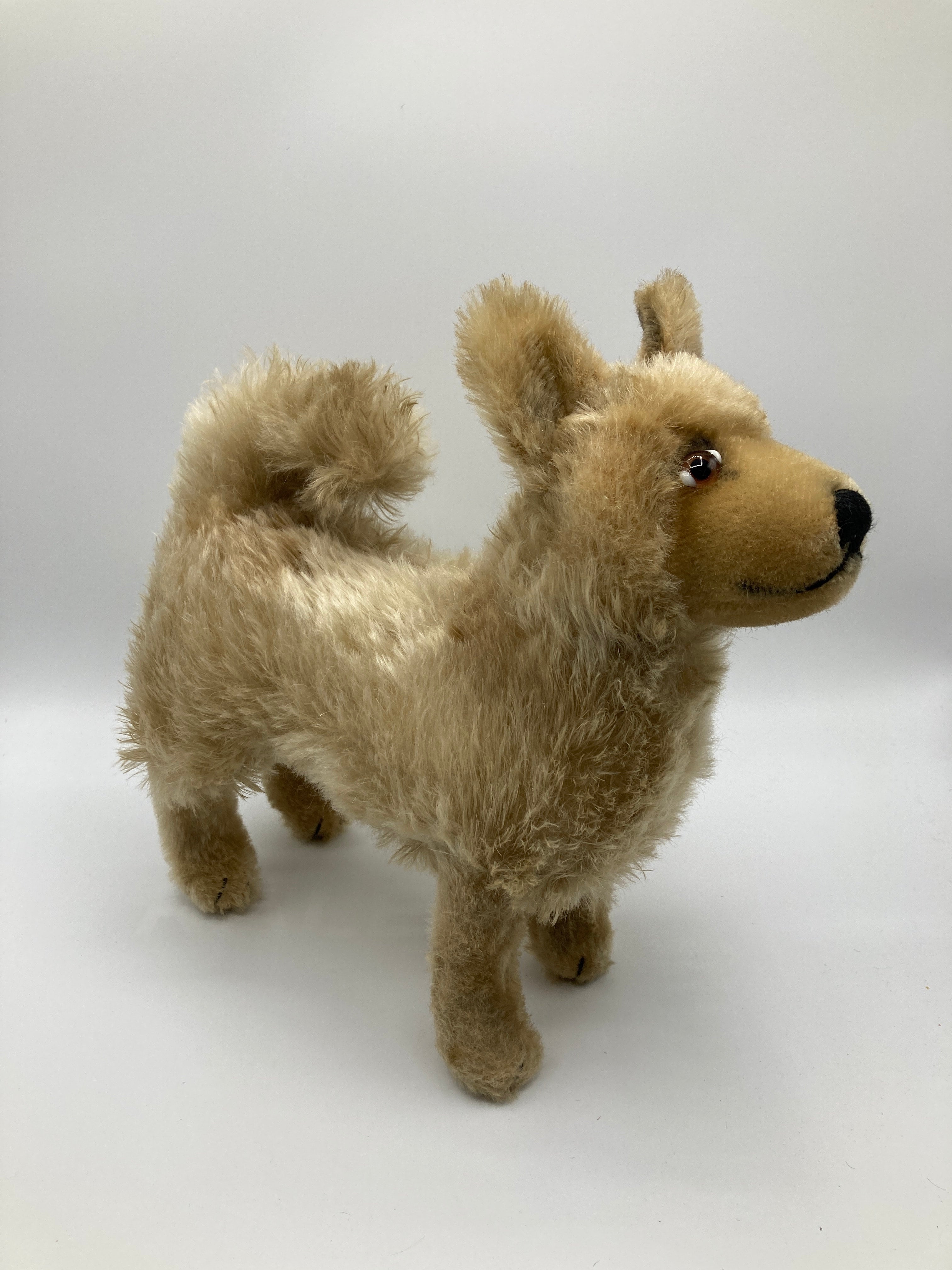 Steiff Largest And Incredibly Rare Mohair Laika the Space Dog | My