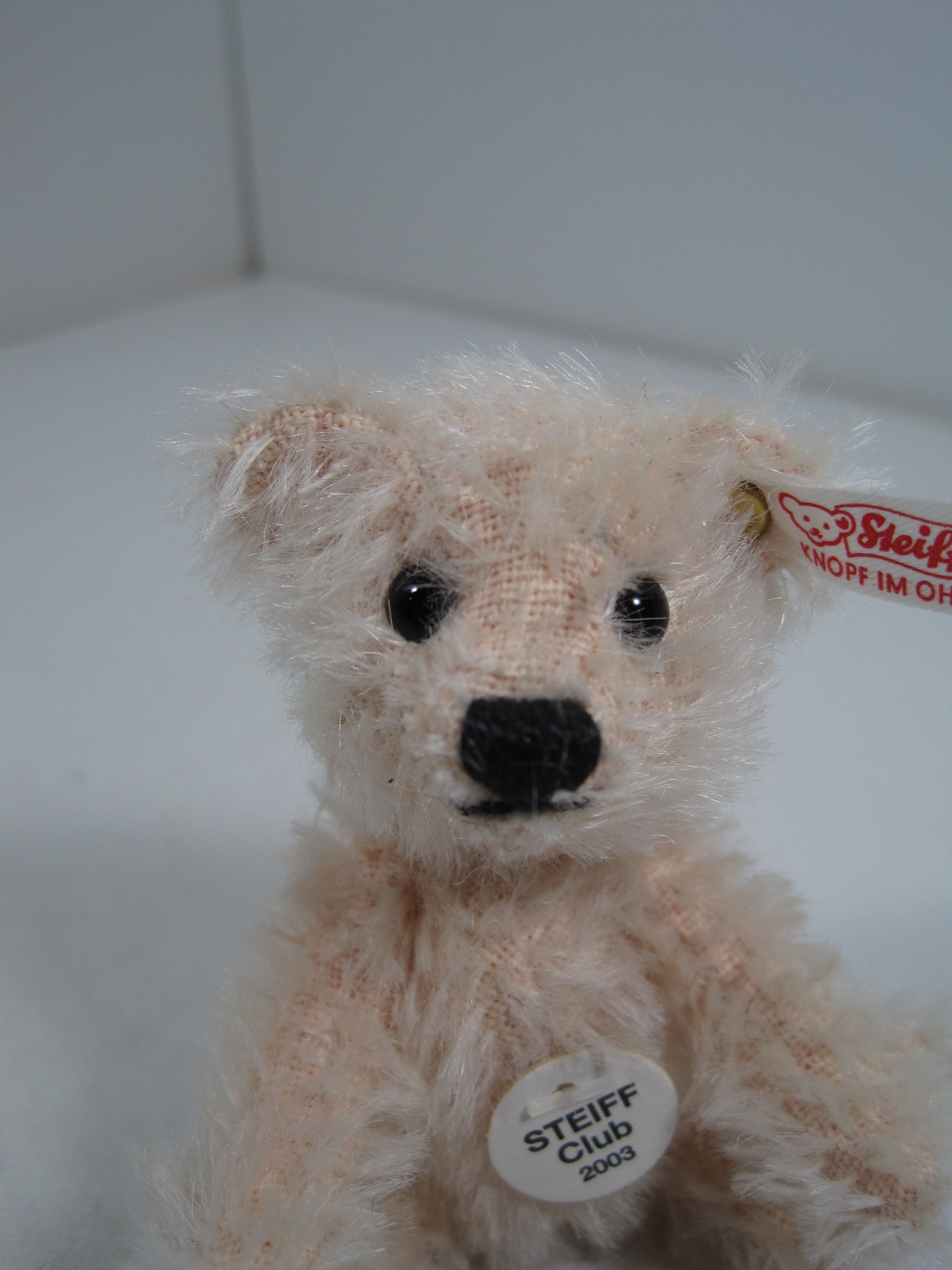 Steiff Fully Jointed Tiny 2003 Steiff Club Bear With All IDs | My Site