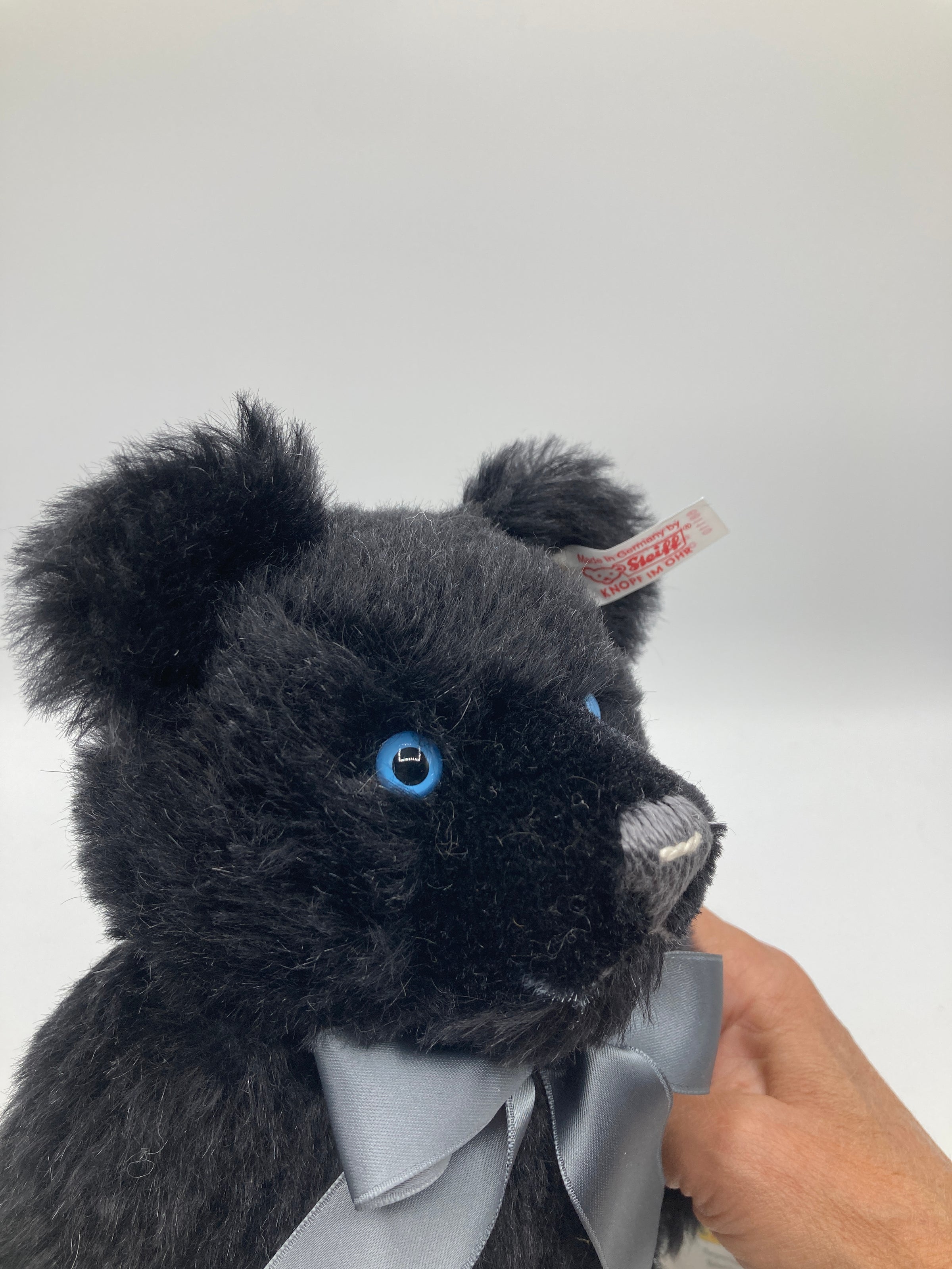 Steiff Black Mohair Jackie Teddy Bear With All IDs | My Site