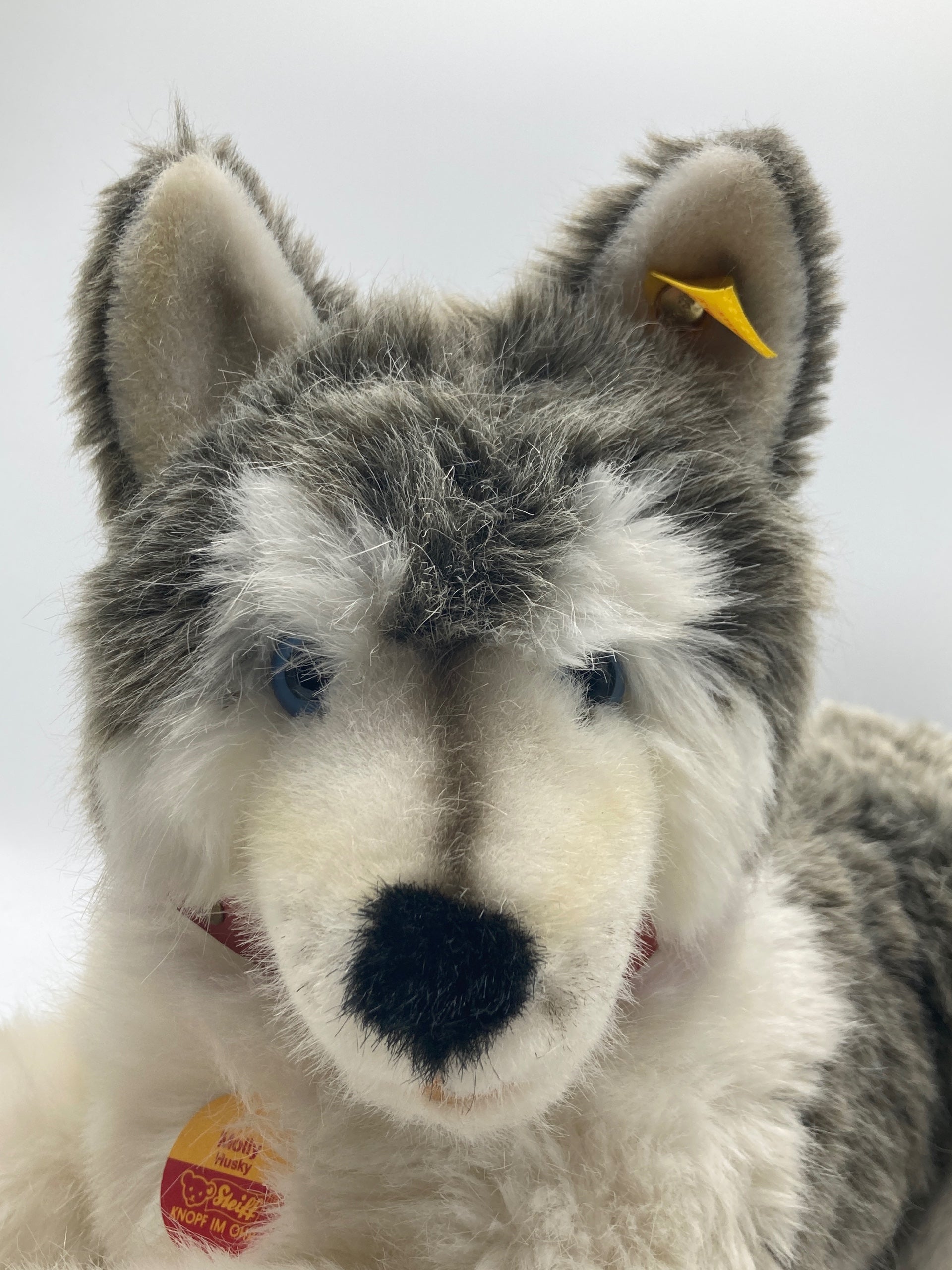 Steiff Husky Bernie Soft Plush Dog With All IDs | My Site