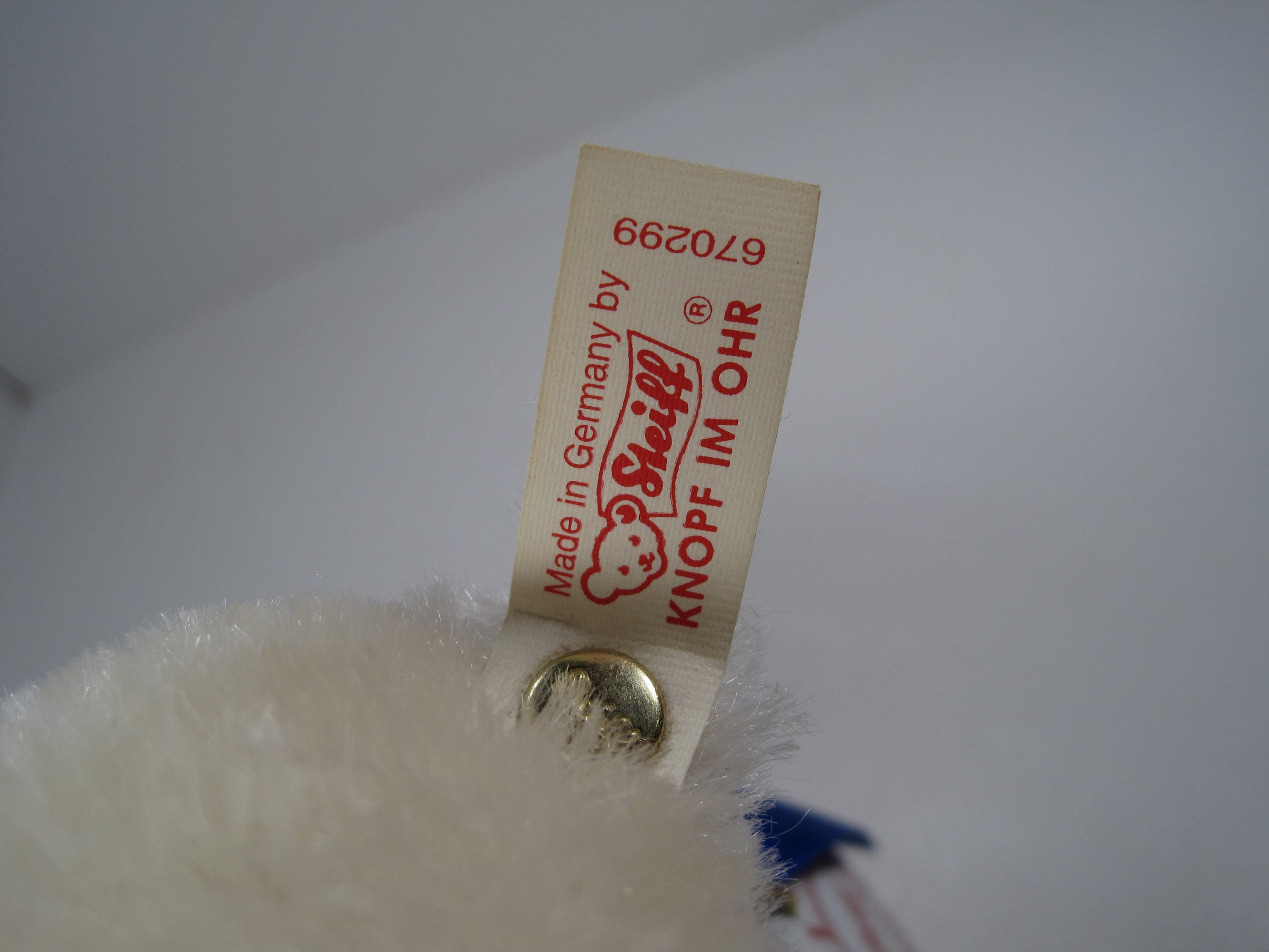 Steiff Polar The Titanic Bear With All IDs | My Site